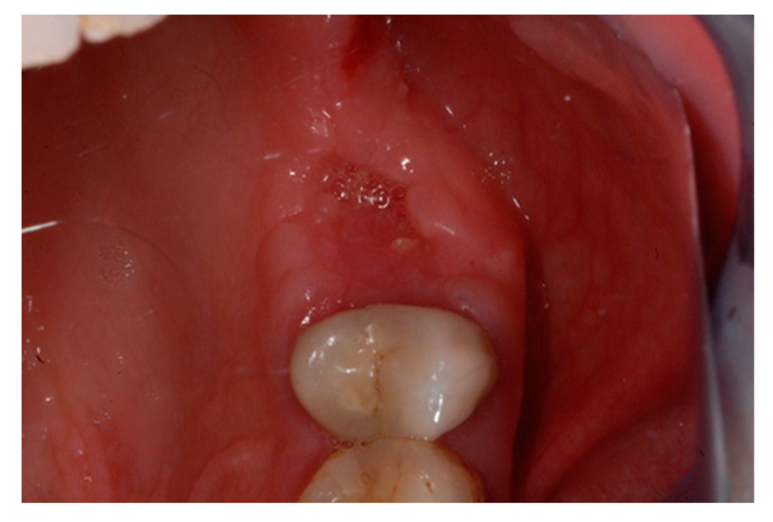 Biology 10 00262 g008