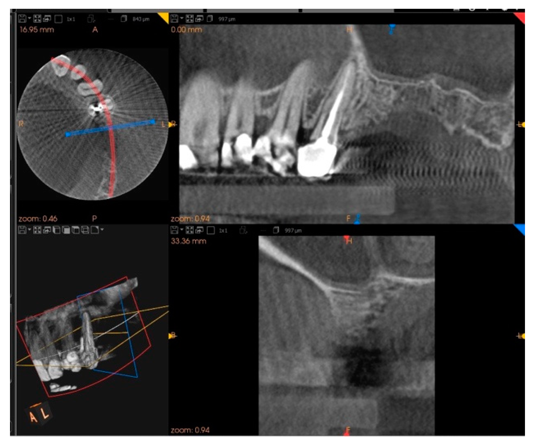 Biology 10 00262 g009
