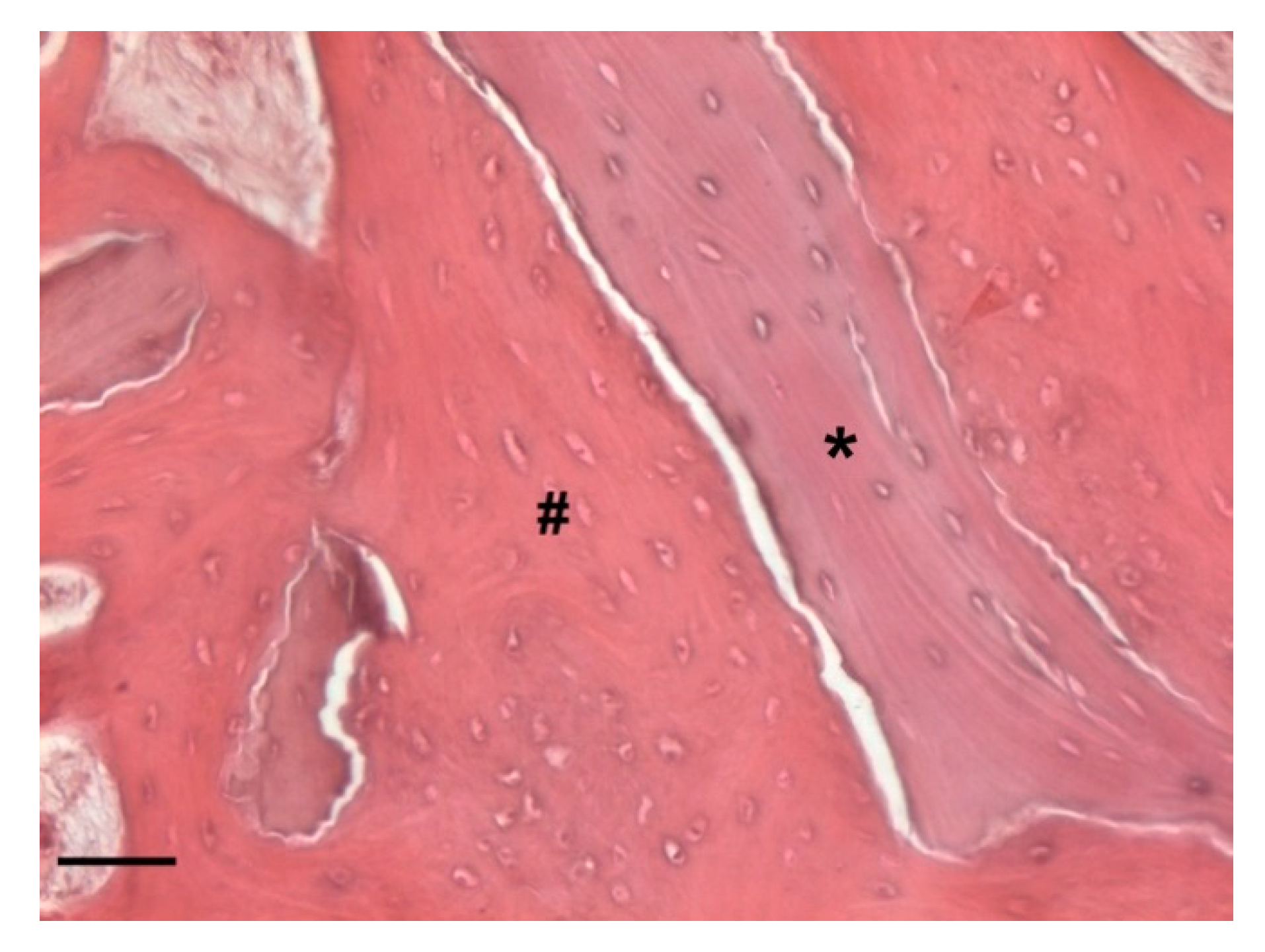 Biology 10 00262 g016