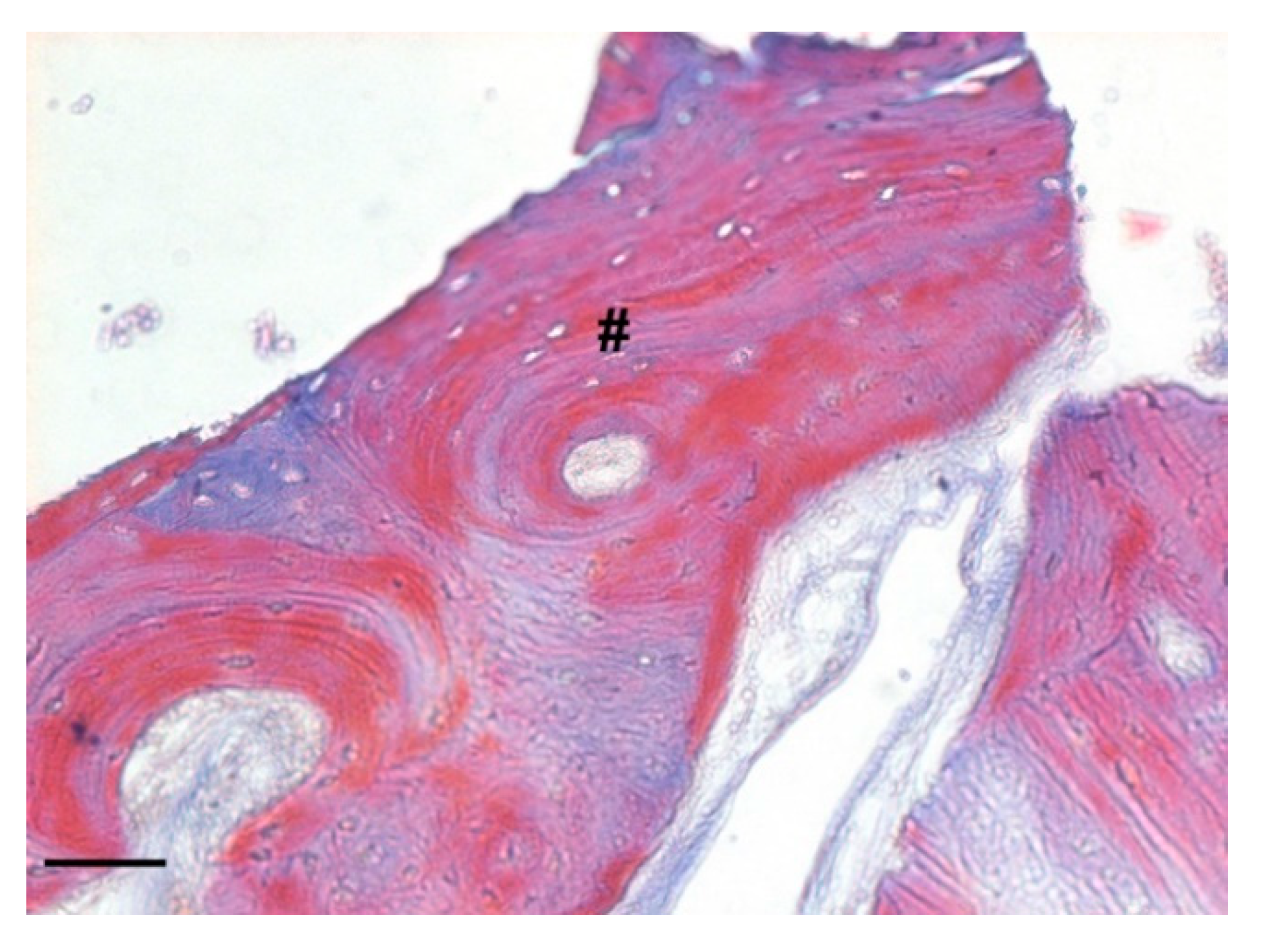 Biology 10 00262 g017