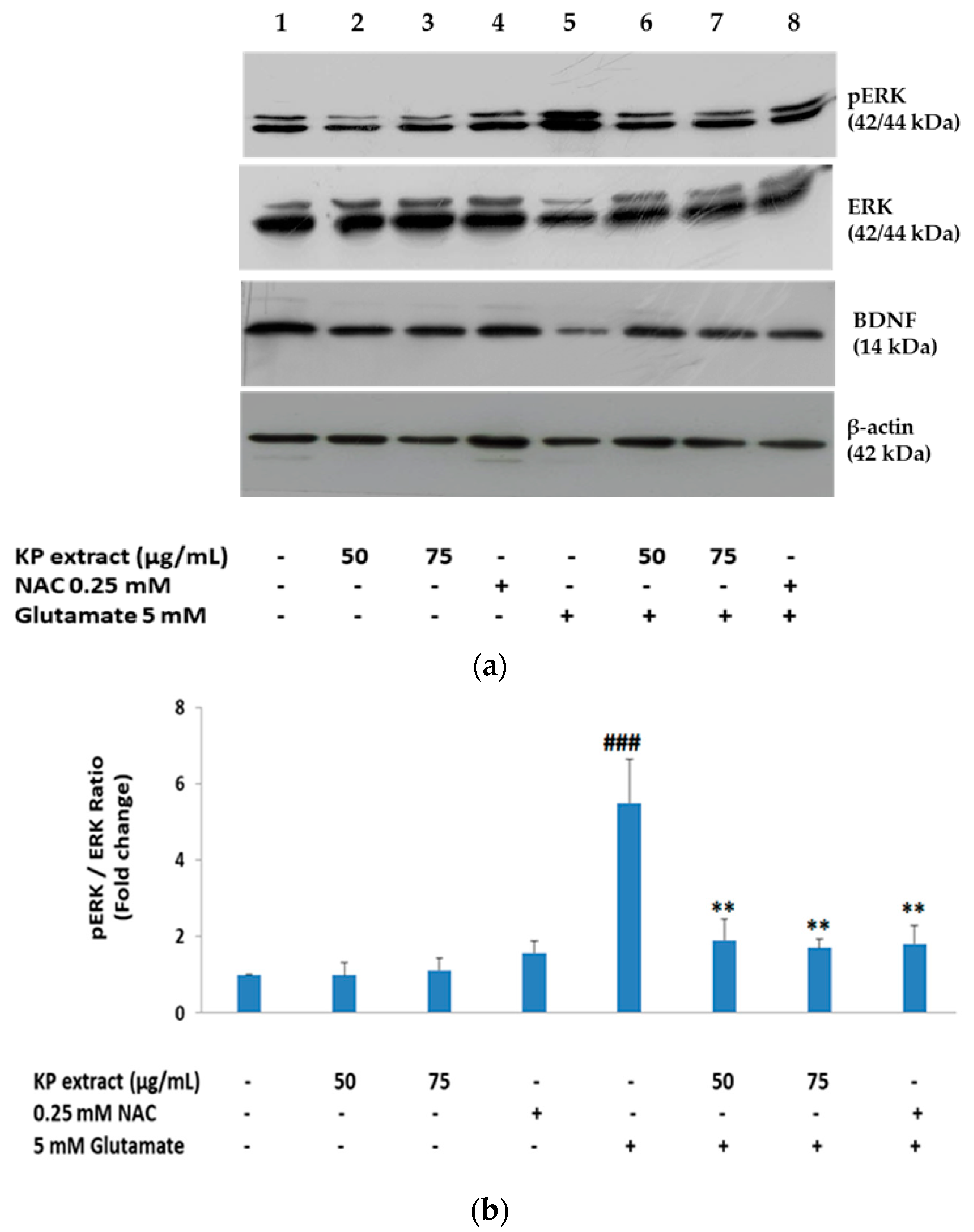 Biology 10 00264 g004a Biology 10 00264 g004a