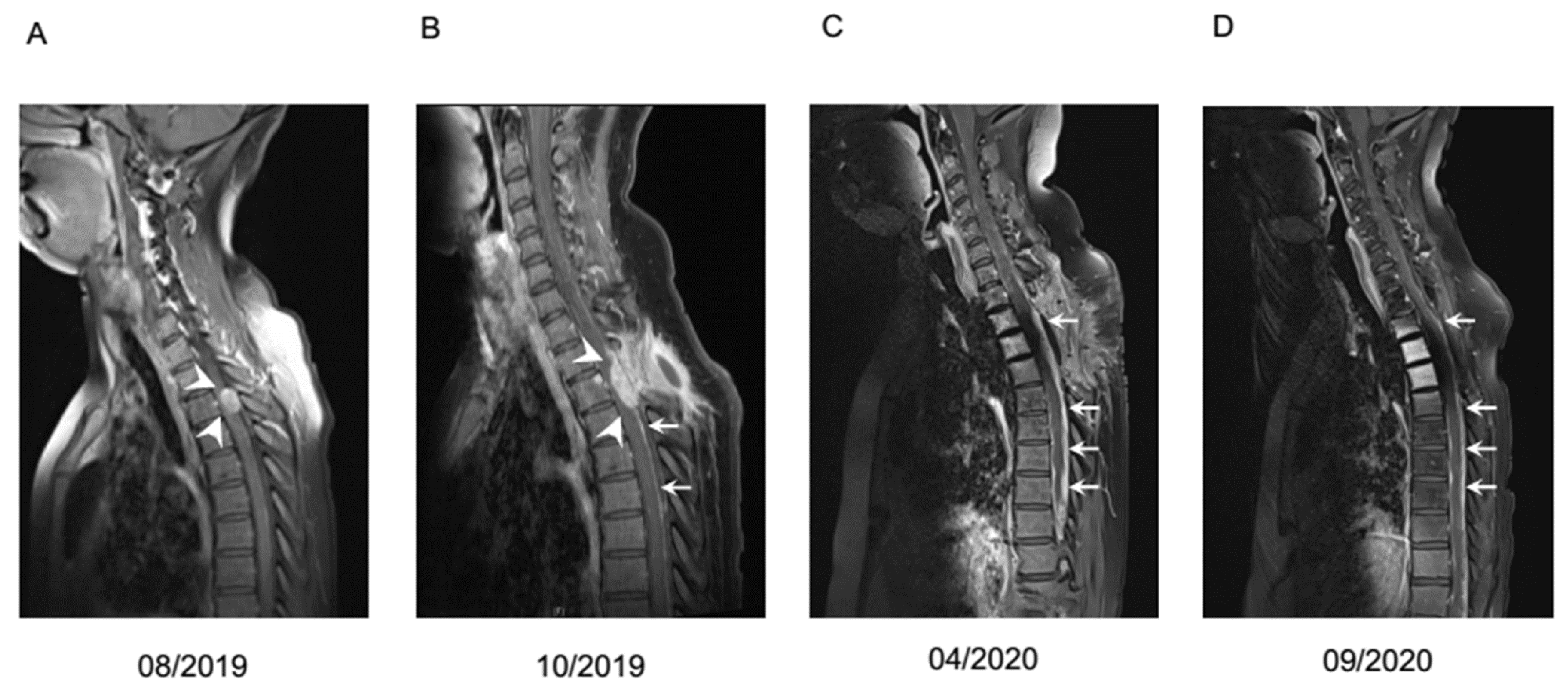 Biology 10 00277 g003