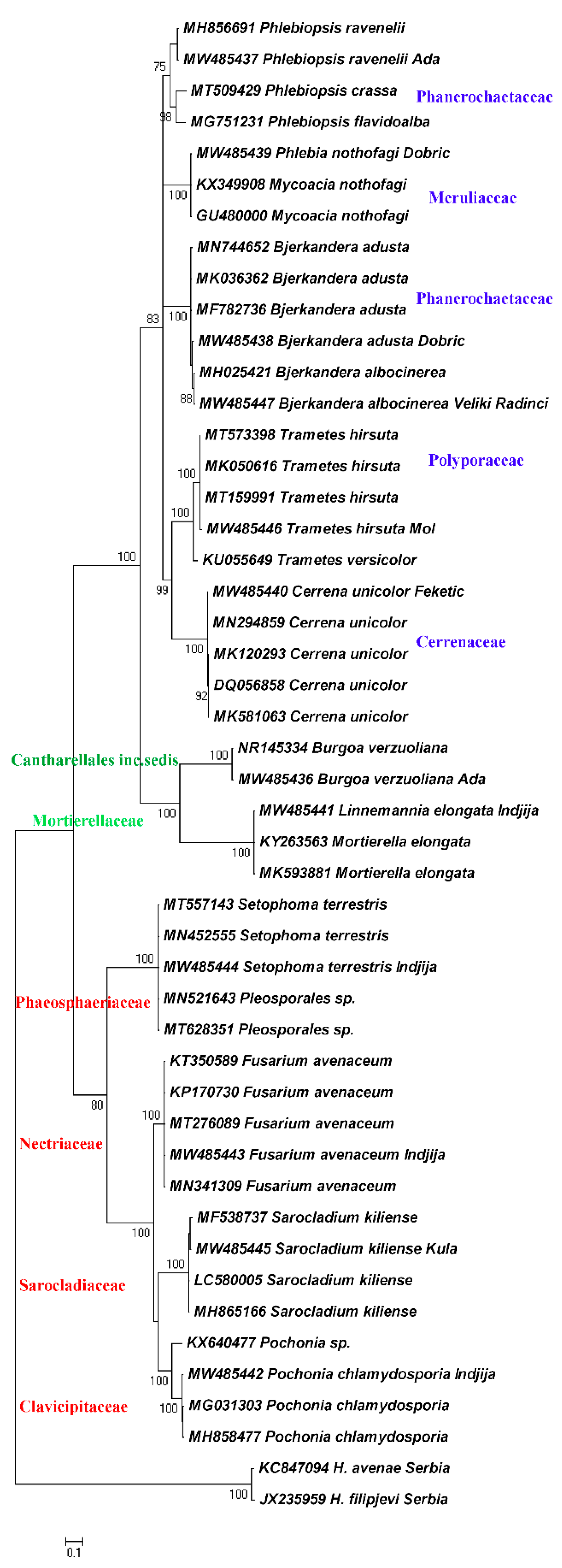 Biology 10 00283 g004