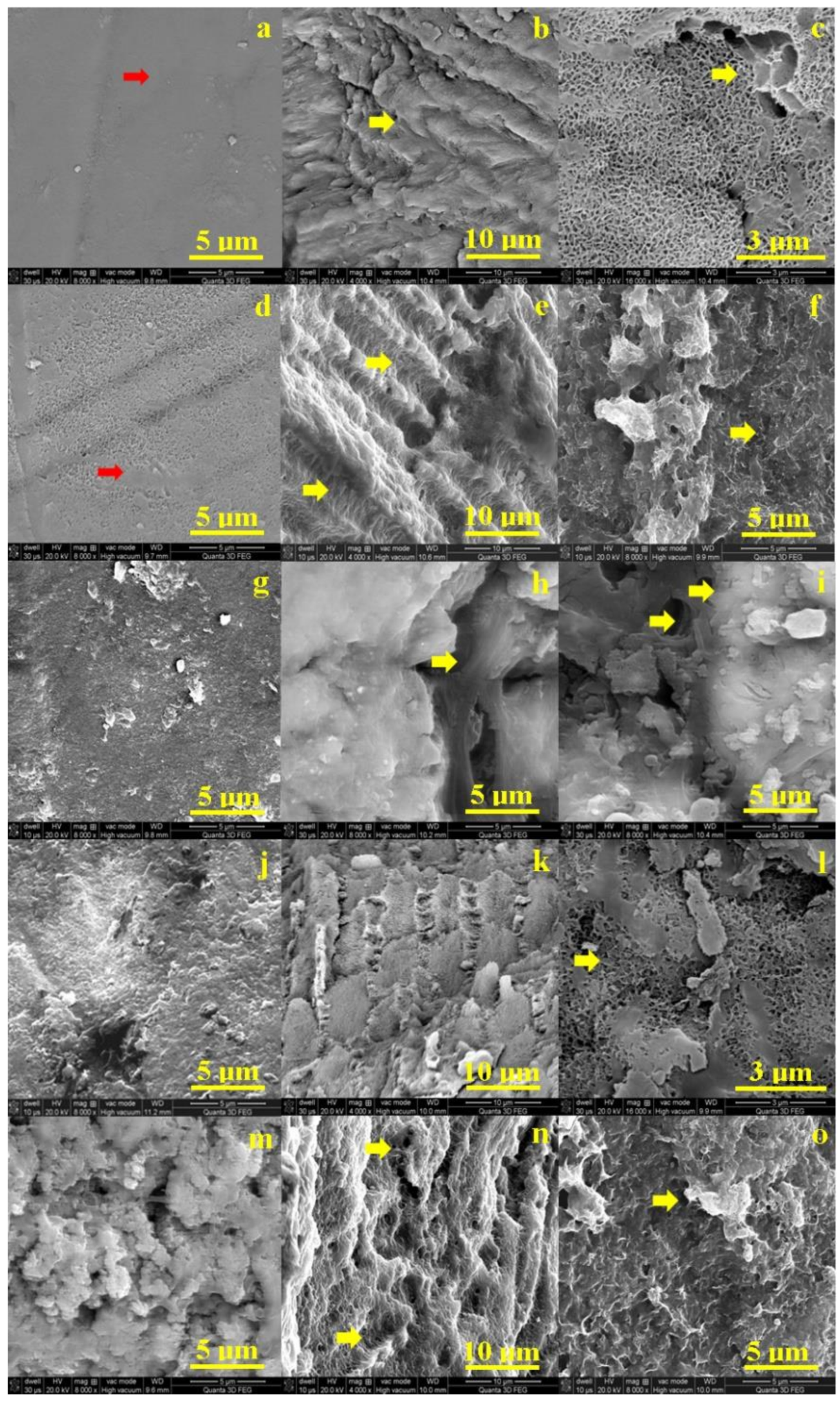 Biology 10 00284 g002