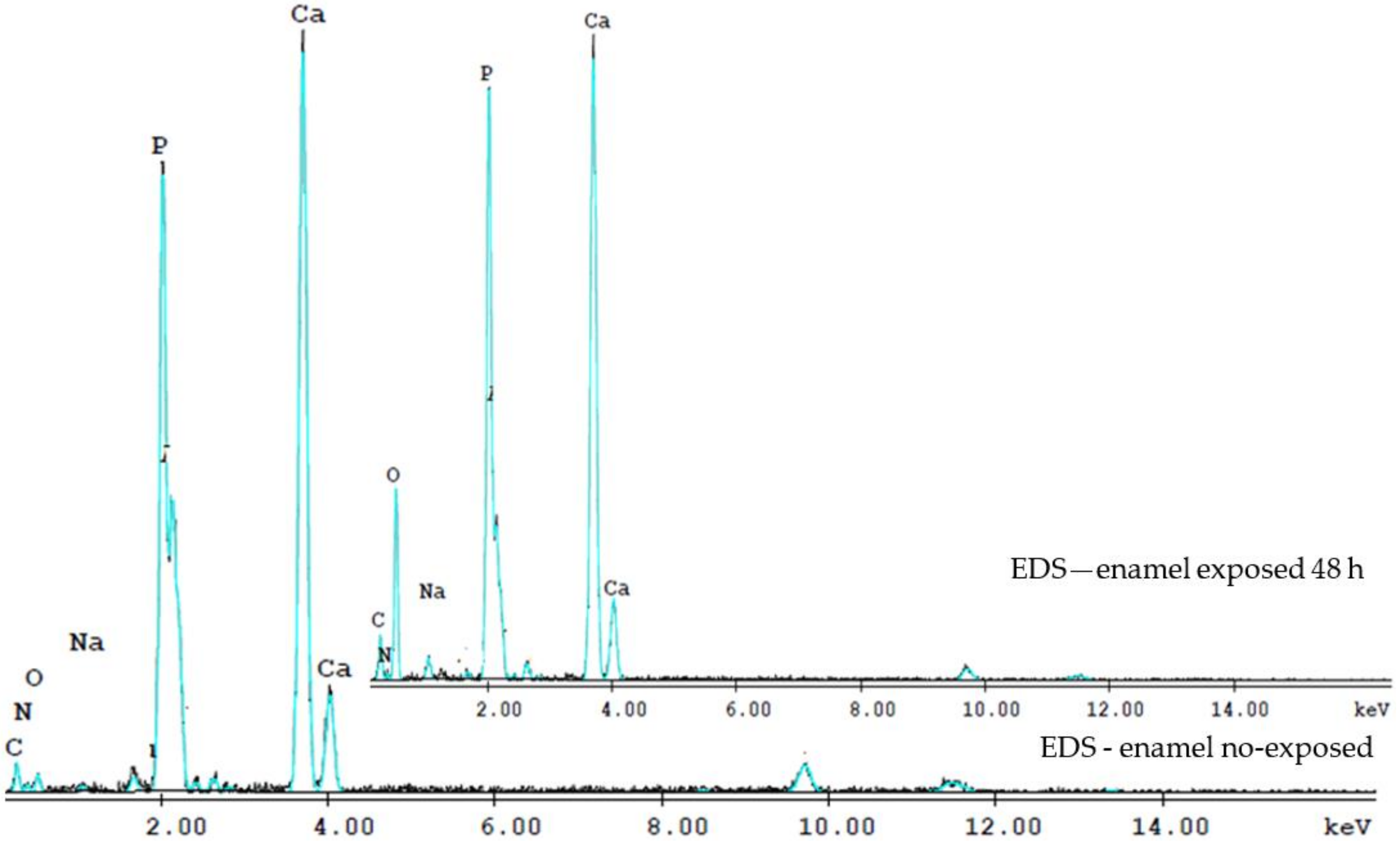 Biology 10 00284 g003
