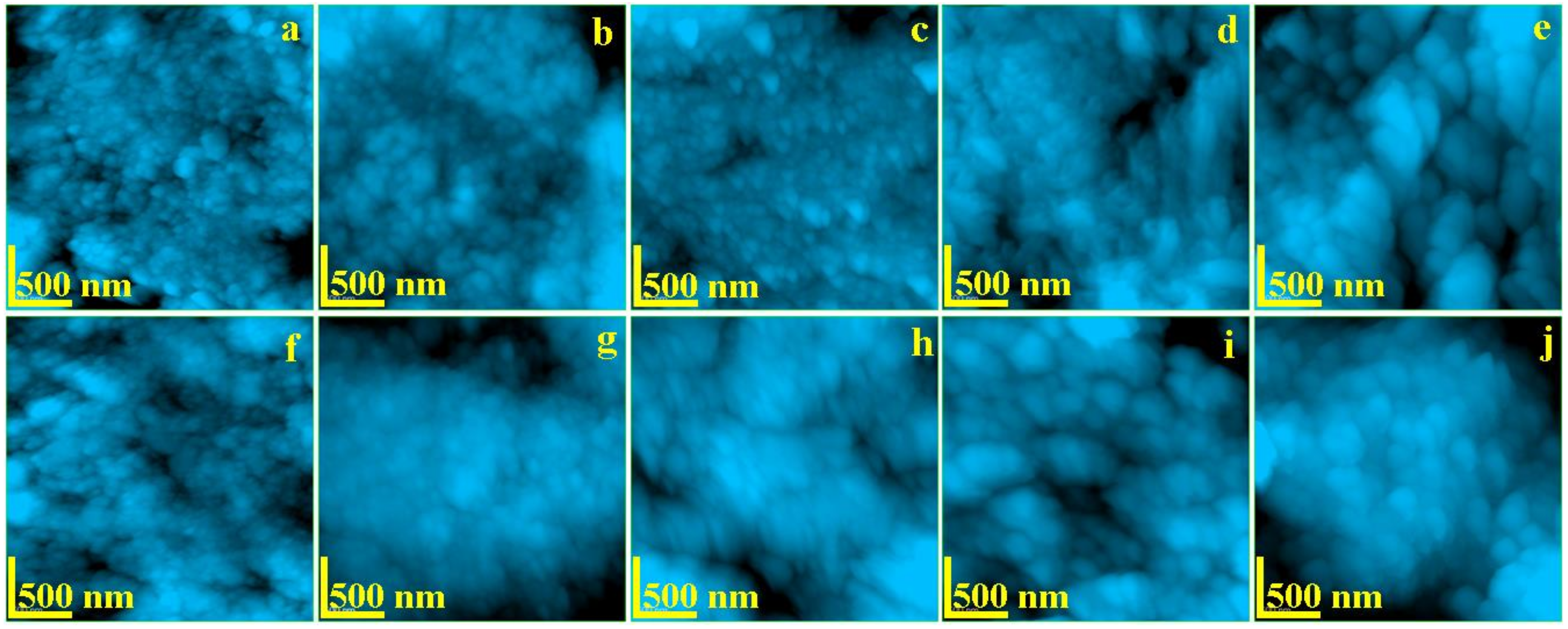 Biology 10 00284 g004