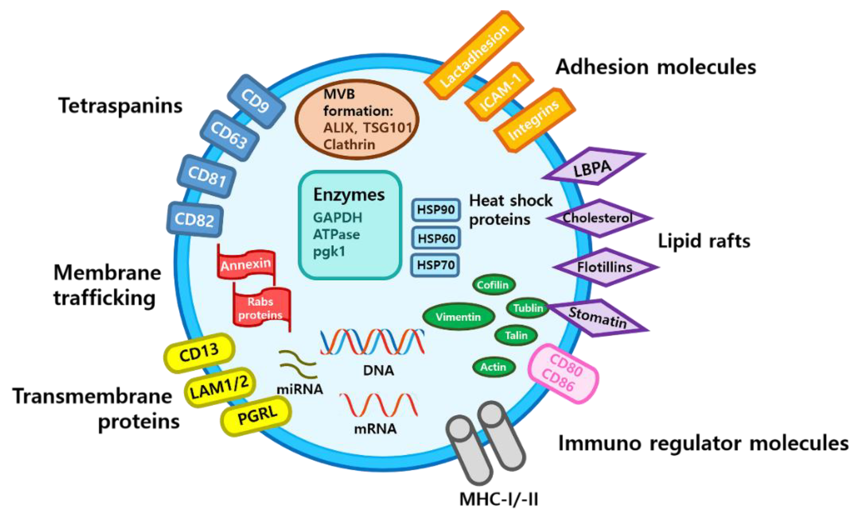 Biology 10 00285 g001 Biology 10 00285 g001