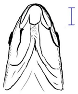 Biology 10 00286 i017