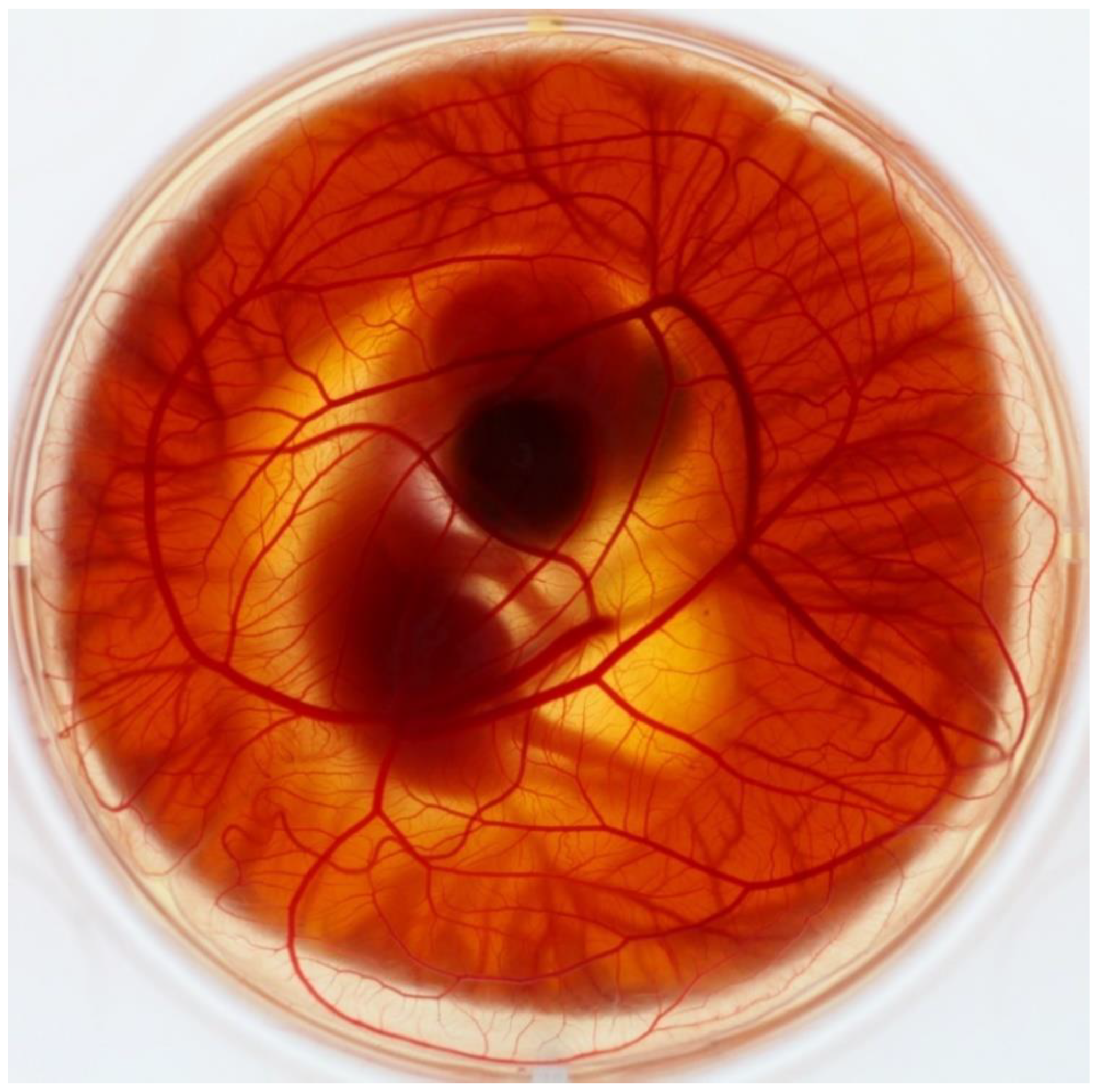 Biology 10 00301 g001 Biology 10 00301 g001