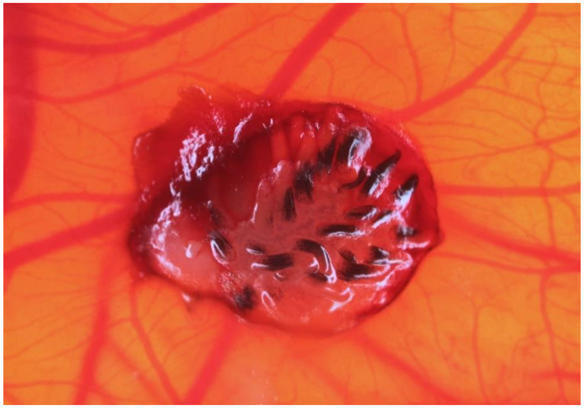 Biology 10 00301 g002 Biology 10 00301 g002