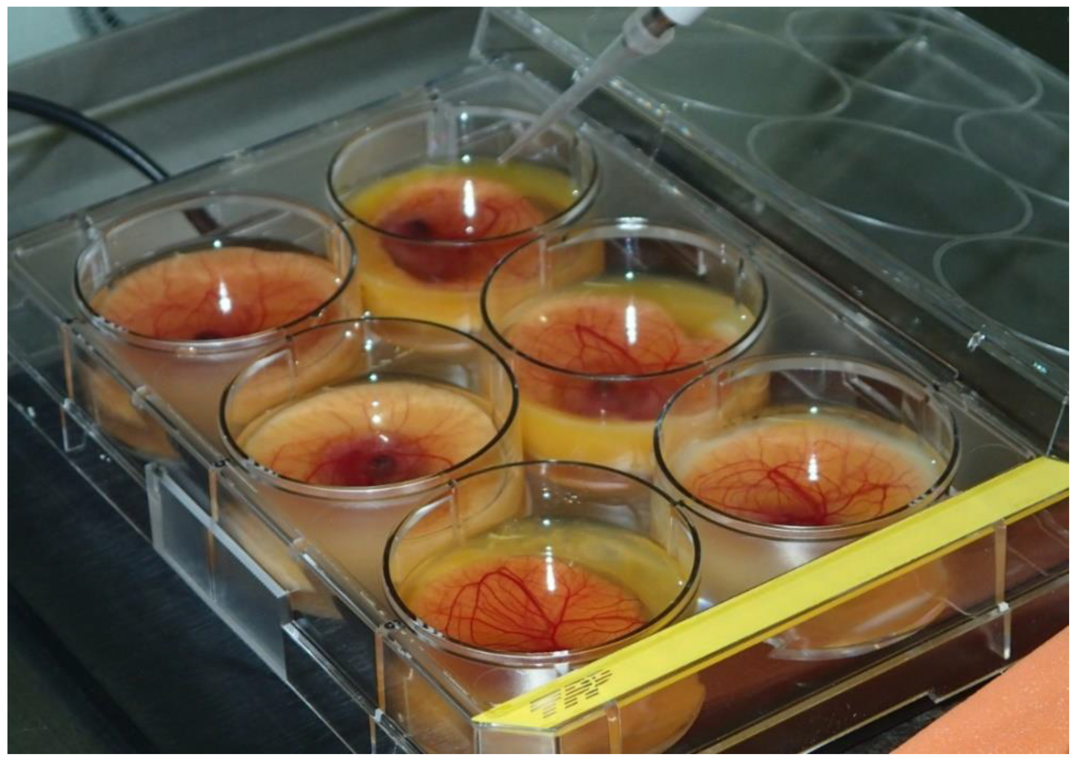 Biology 10 00301 g003 Biology 10 00301 g003