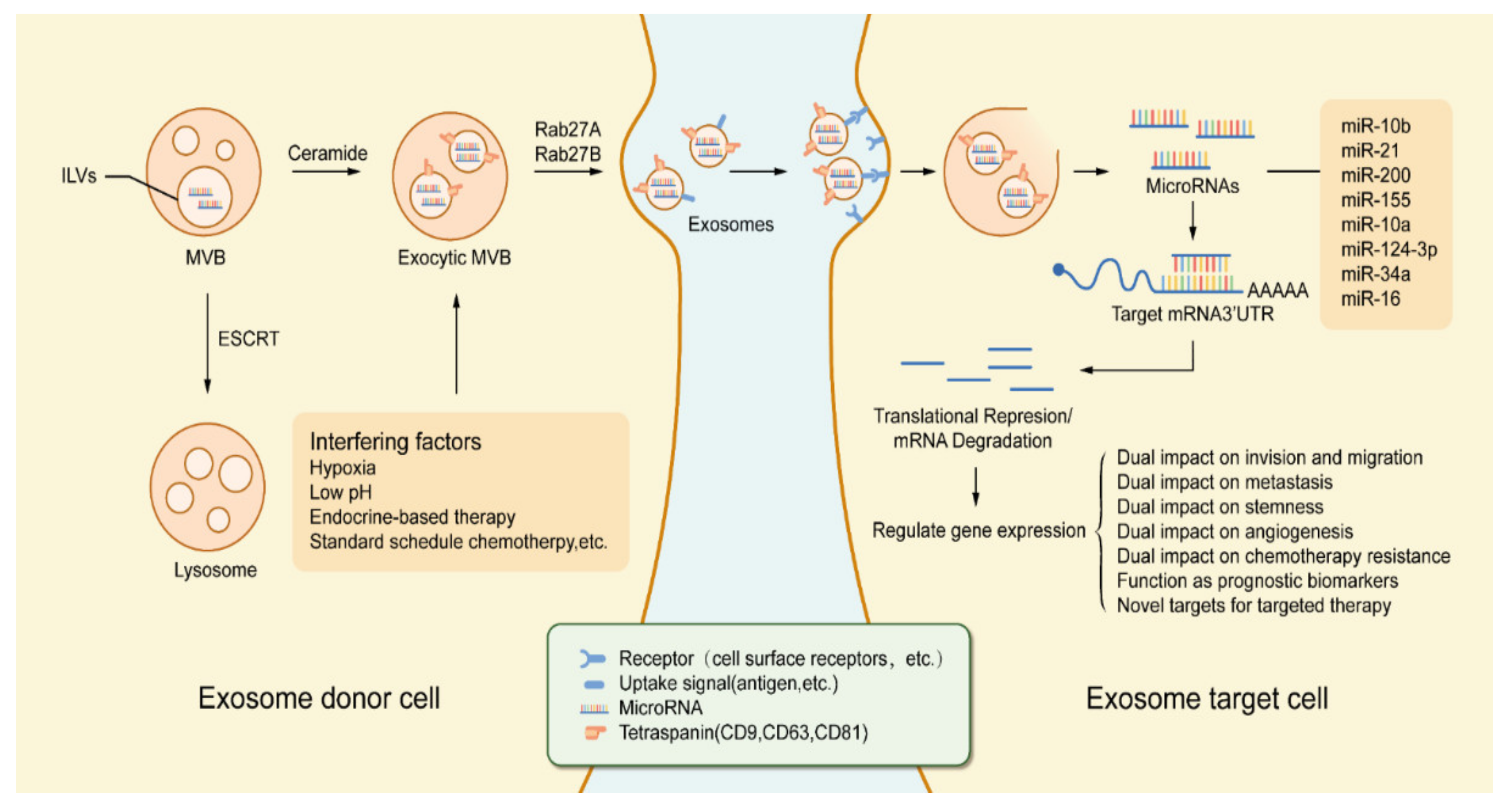 Biology 10 00307 g002