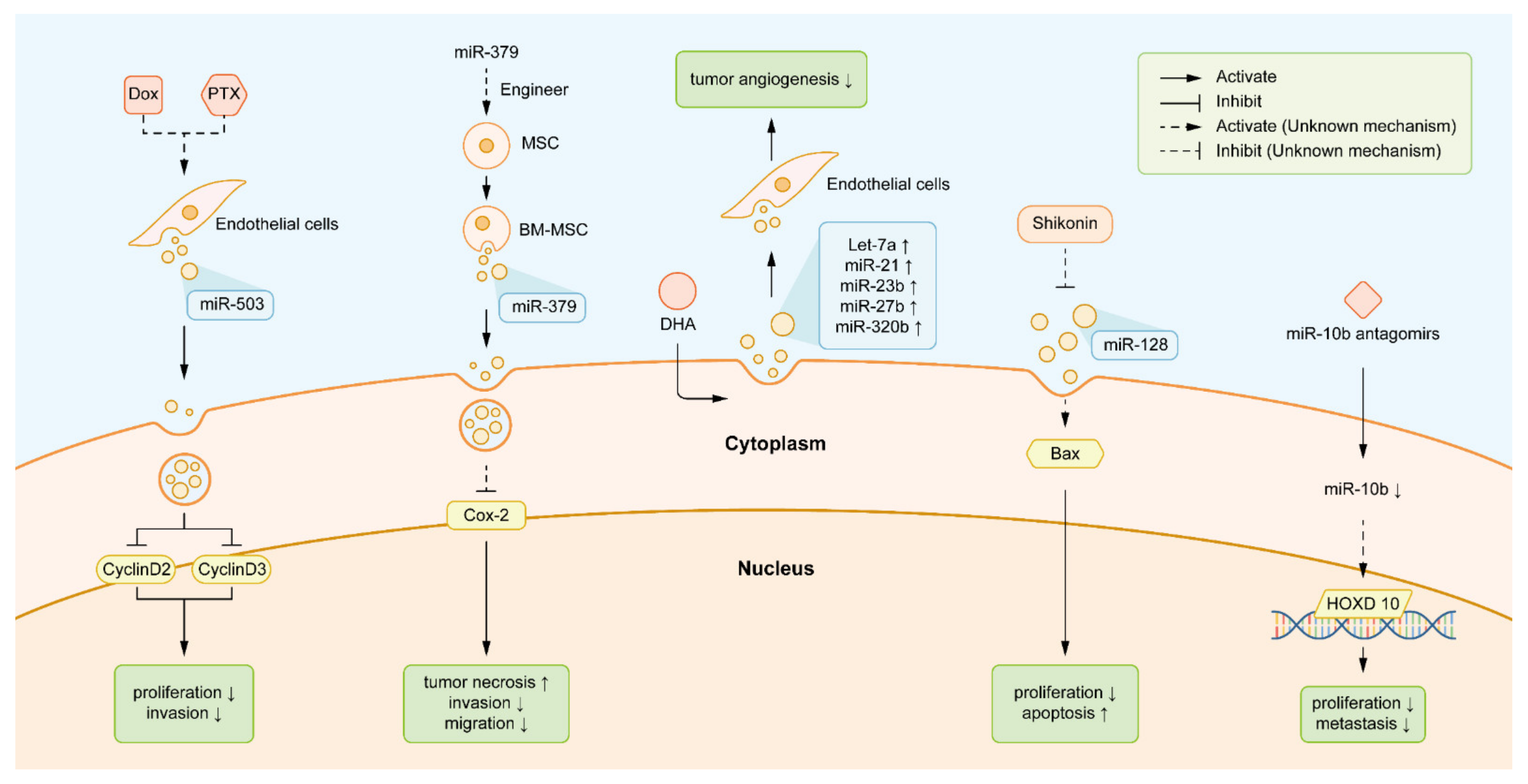Biology 10 00307 g003