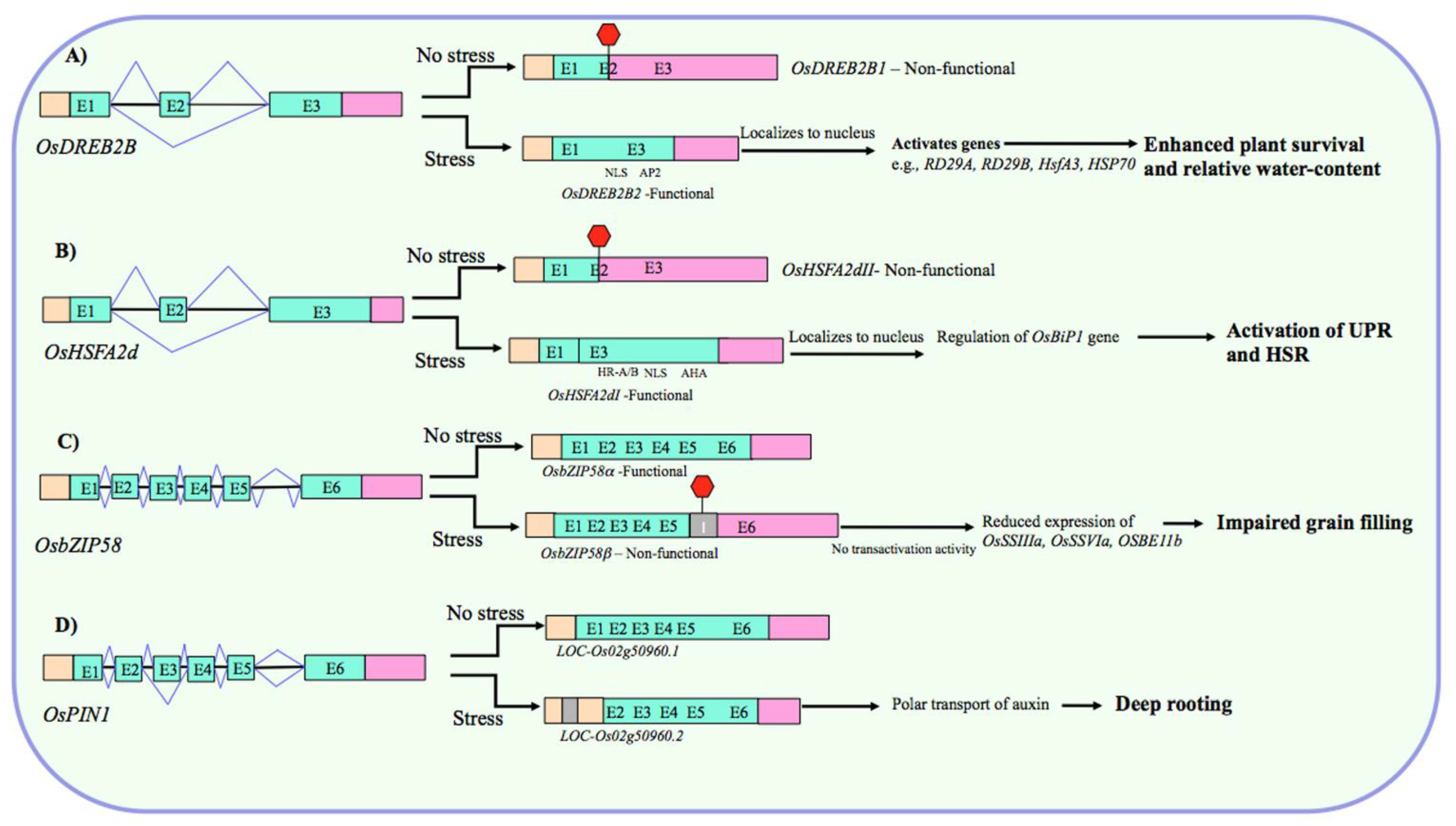 Biology 10 00309 g002