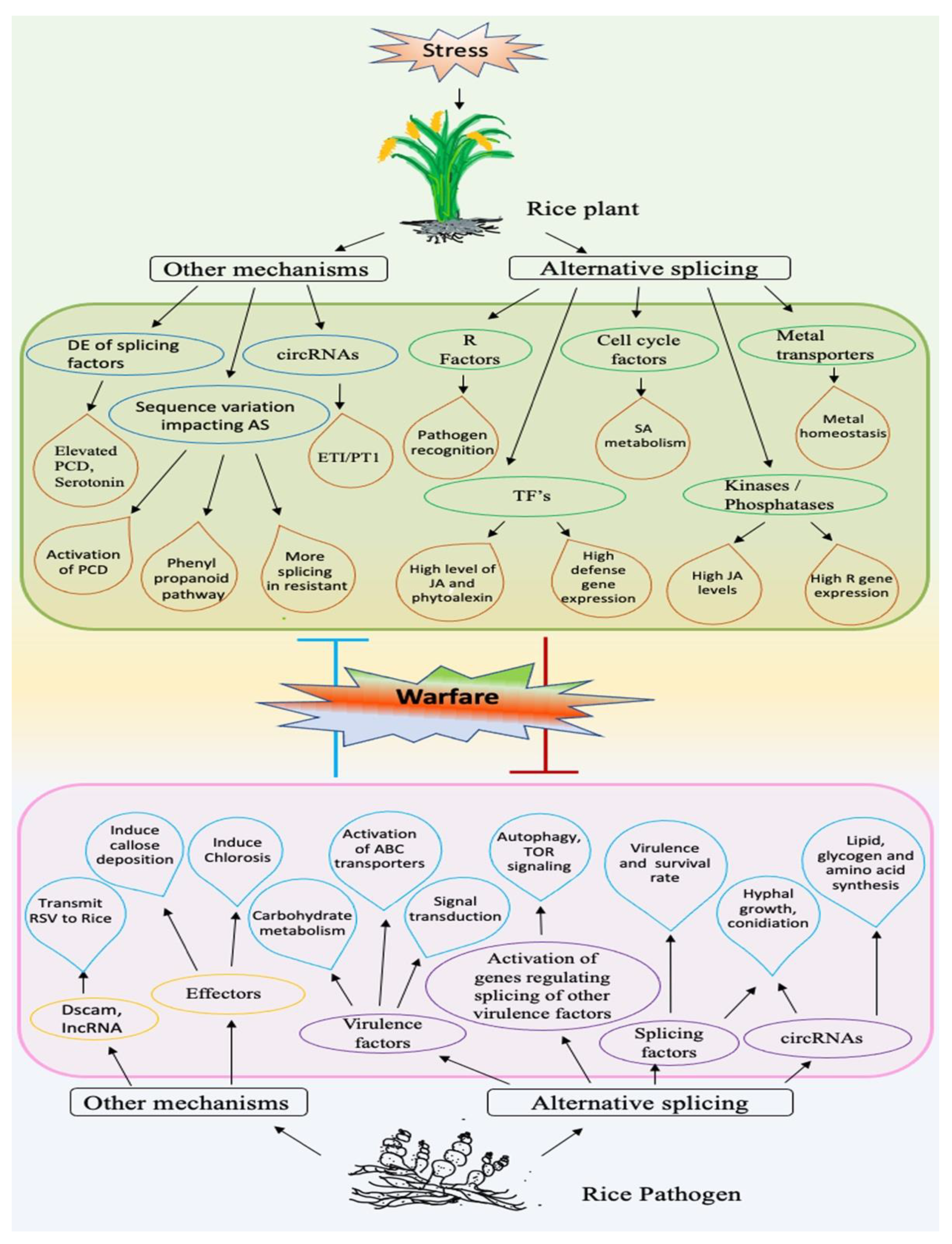 Biology 10 00309 g003