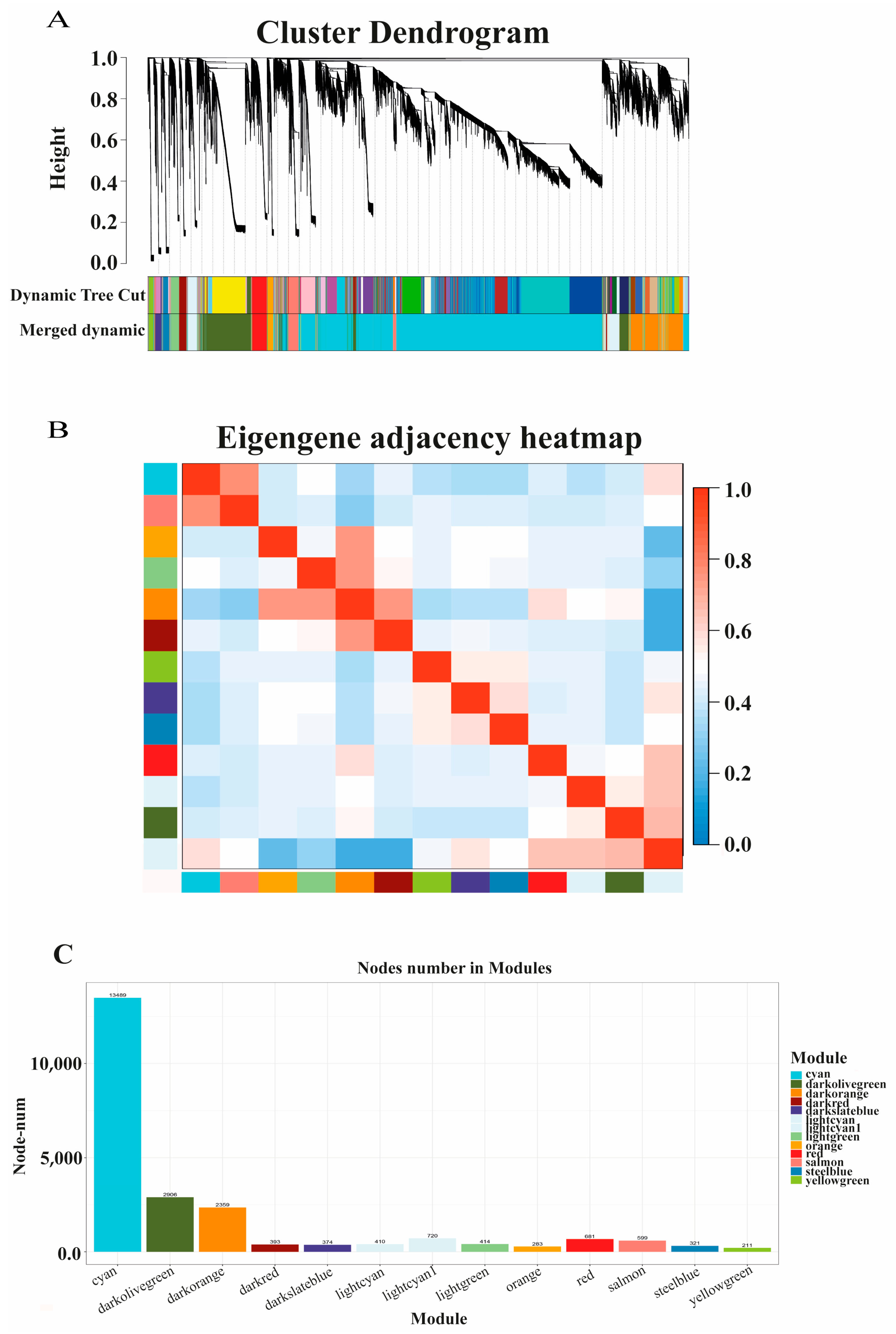 Biology 10 00310 g005