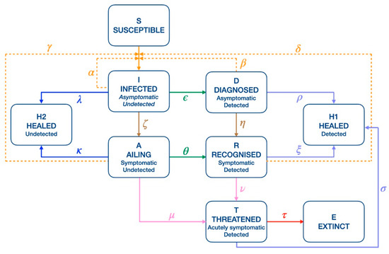 Biology 10 00311 g001