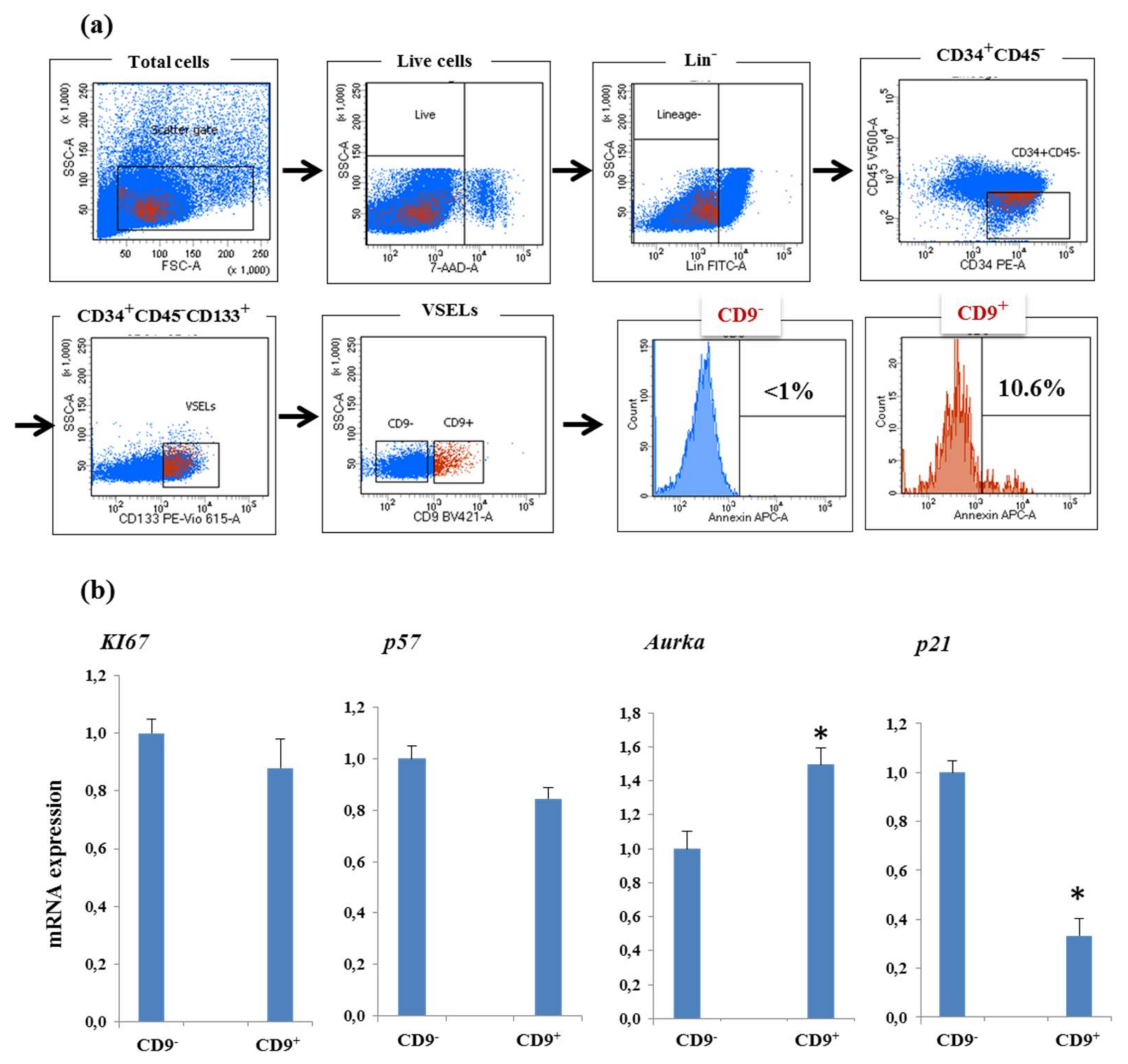 Biology 10 00312 g005 Biology 10 00312 g005