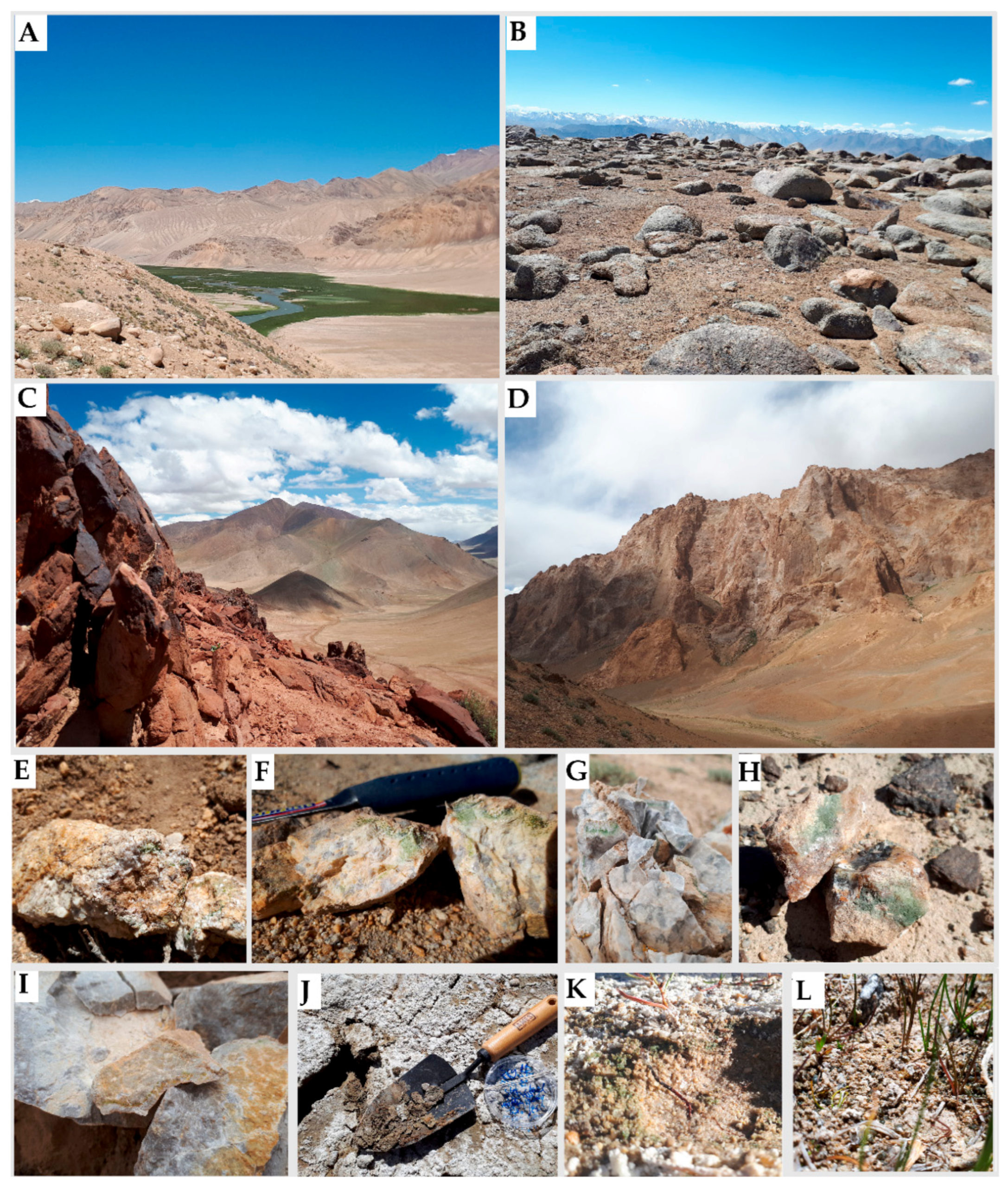 Biology 10 00314 g001