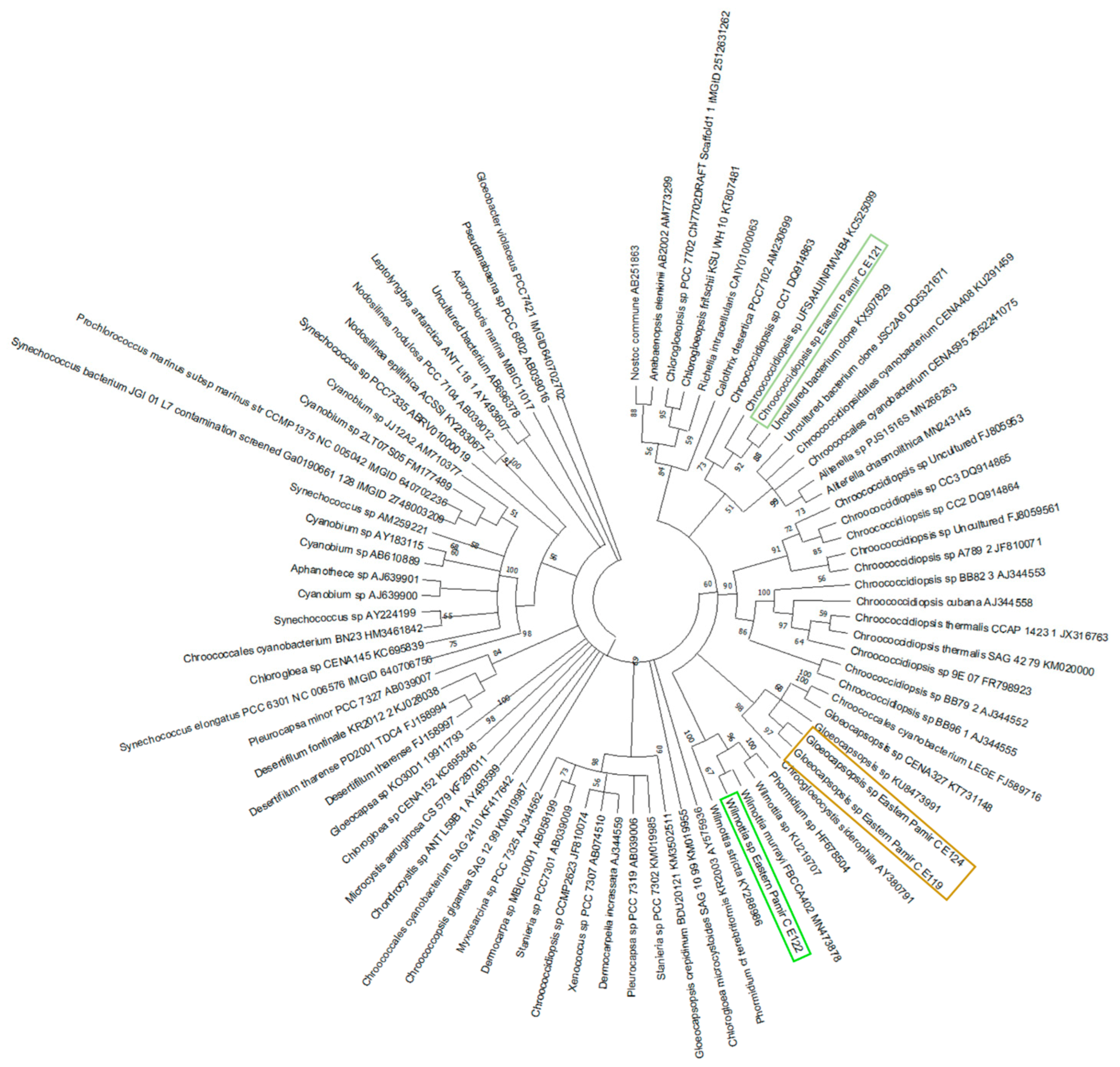 Biology 10 00314 g007