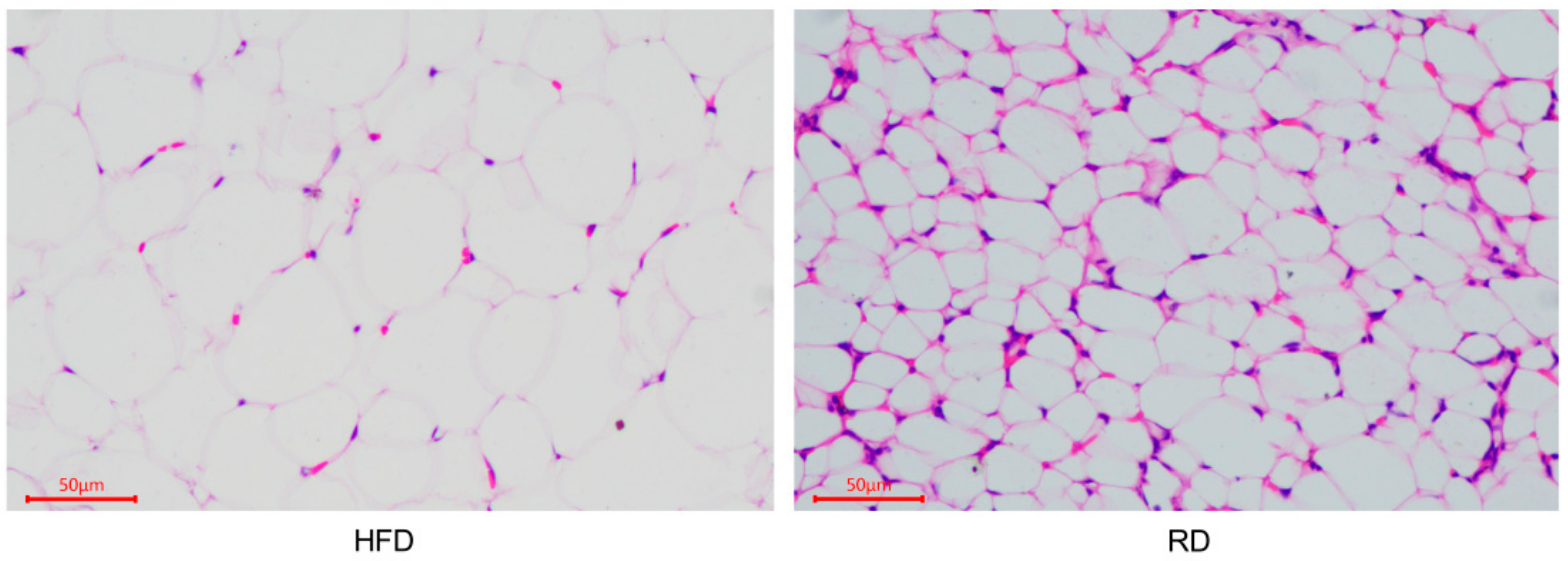 Biology 10 00321 g001