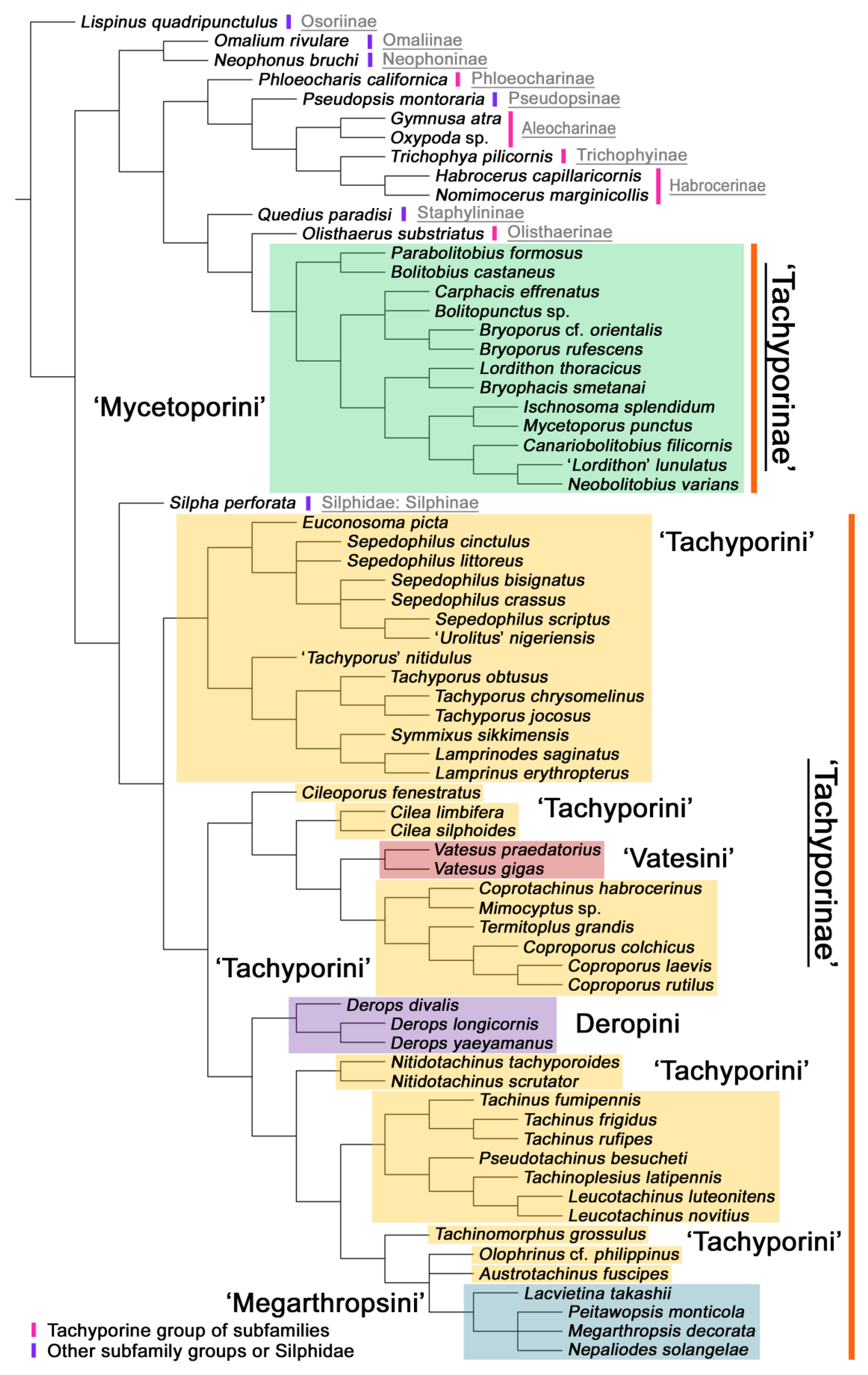 Biology 10 00323 g002 Biology 10 00323 g002