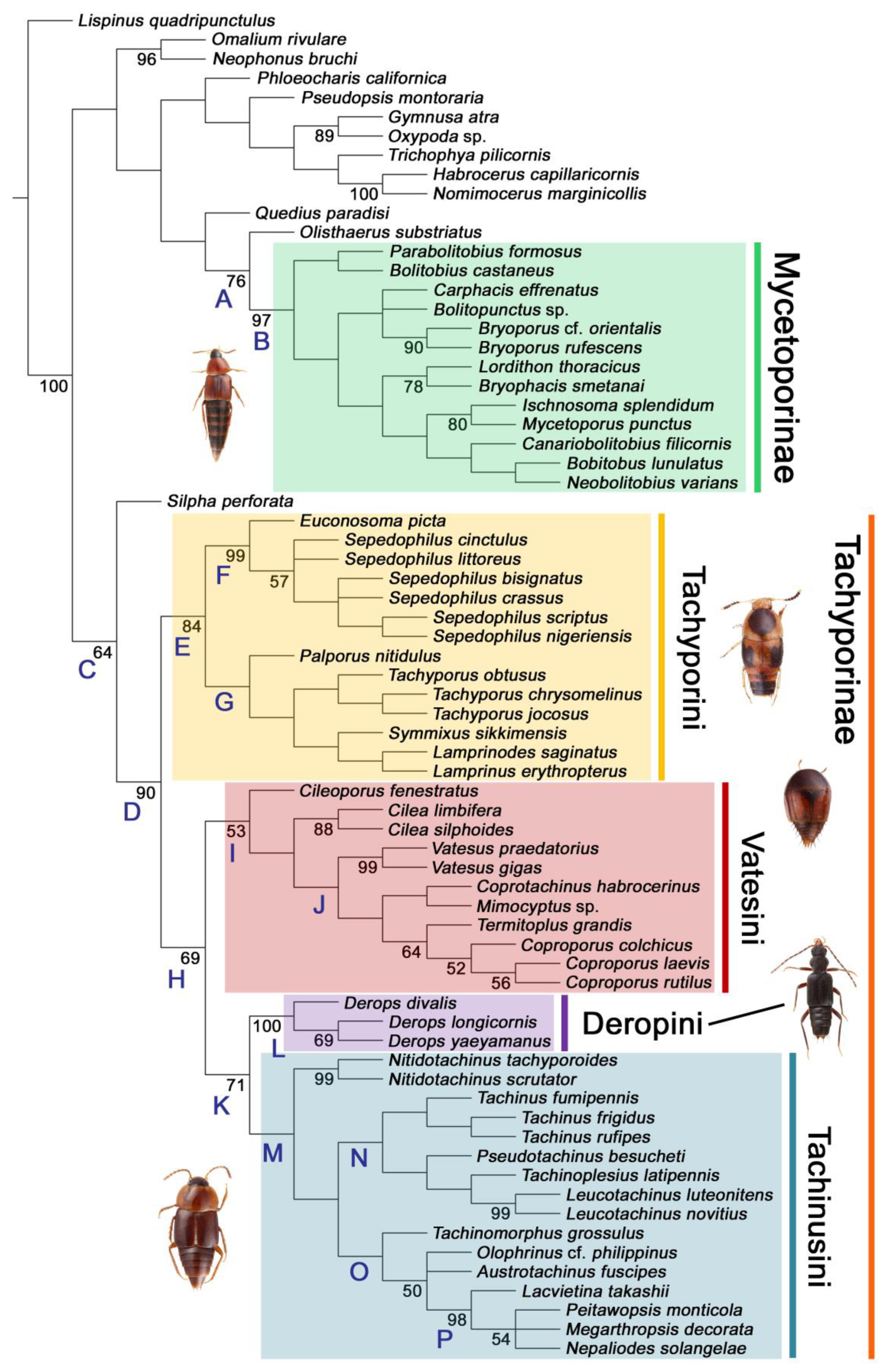 Biology 10 00323 g003 Biology 10 00323 g003