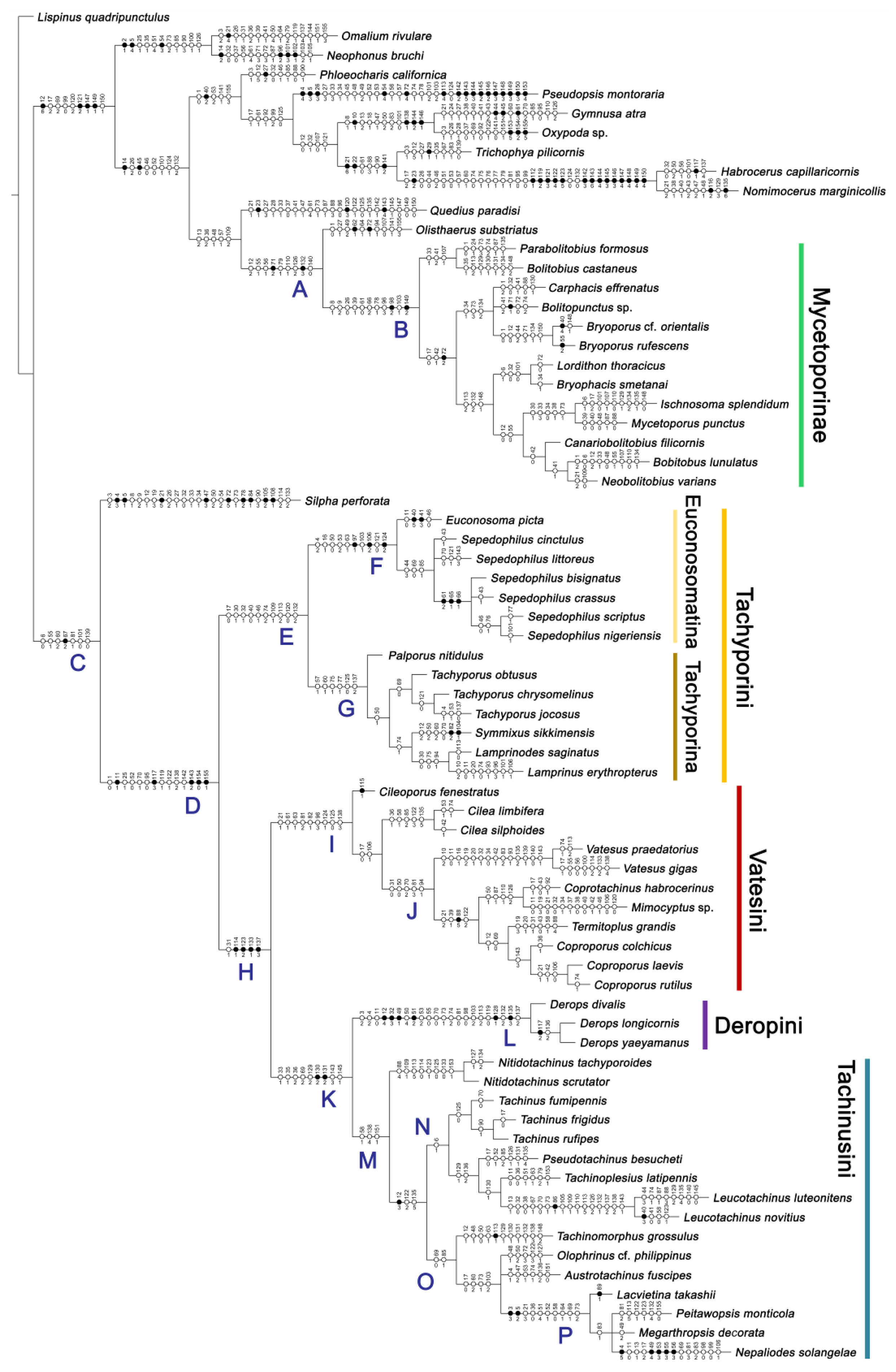 Biology 10 00323 g004 Biology 10 00323 g004