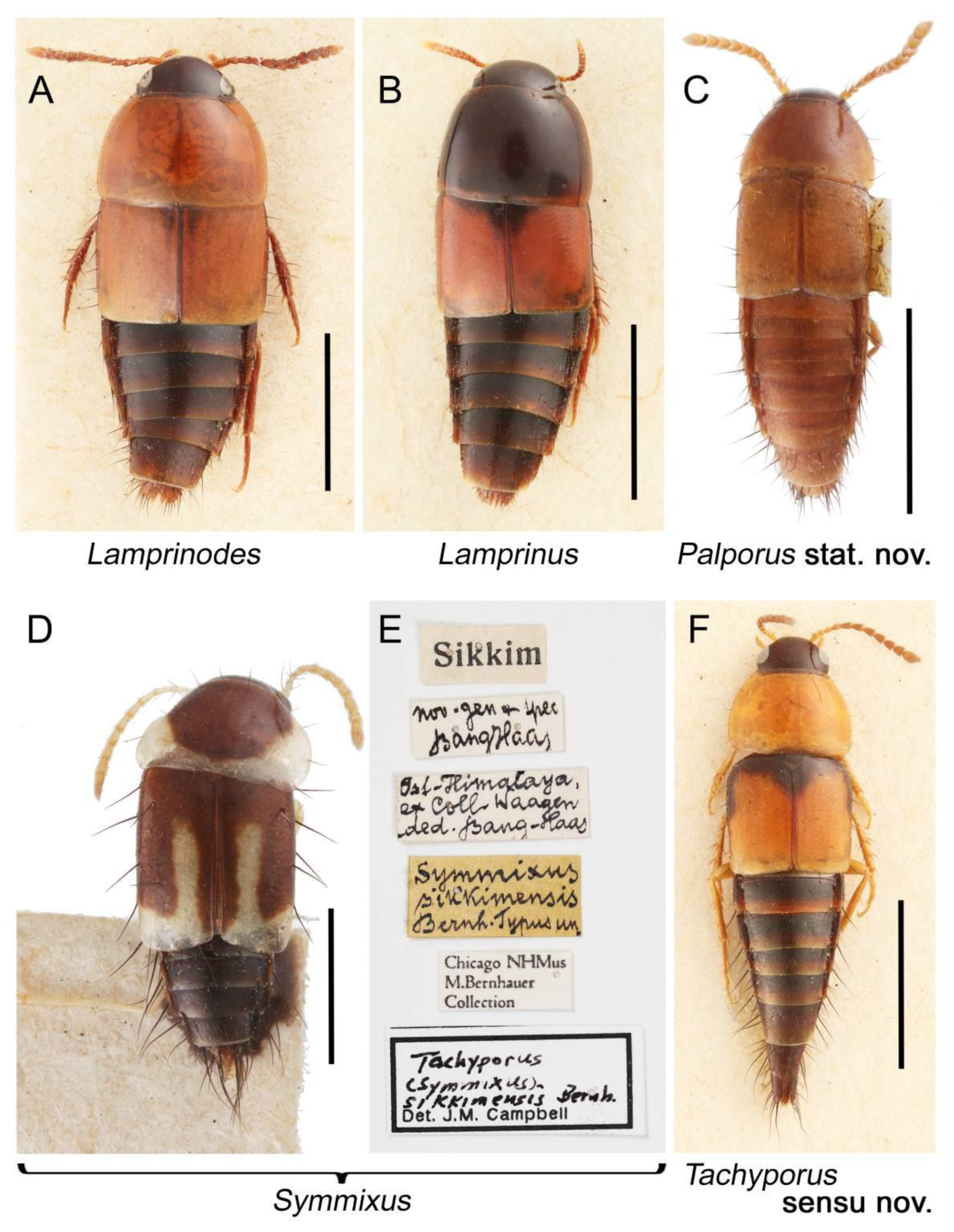 Biology 10 00323 g006 Biology 10 00323 g006