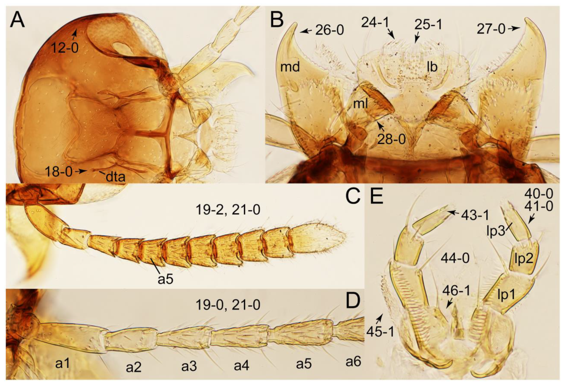 Biology 10 00323 g009 Biology 10 00323 g009