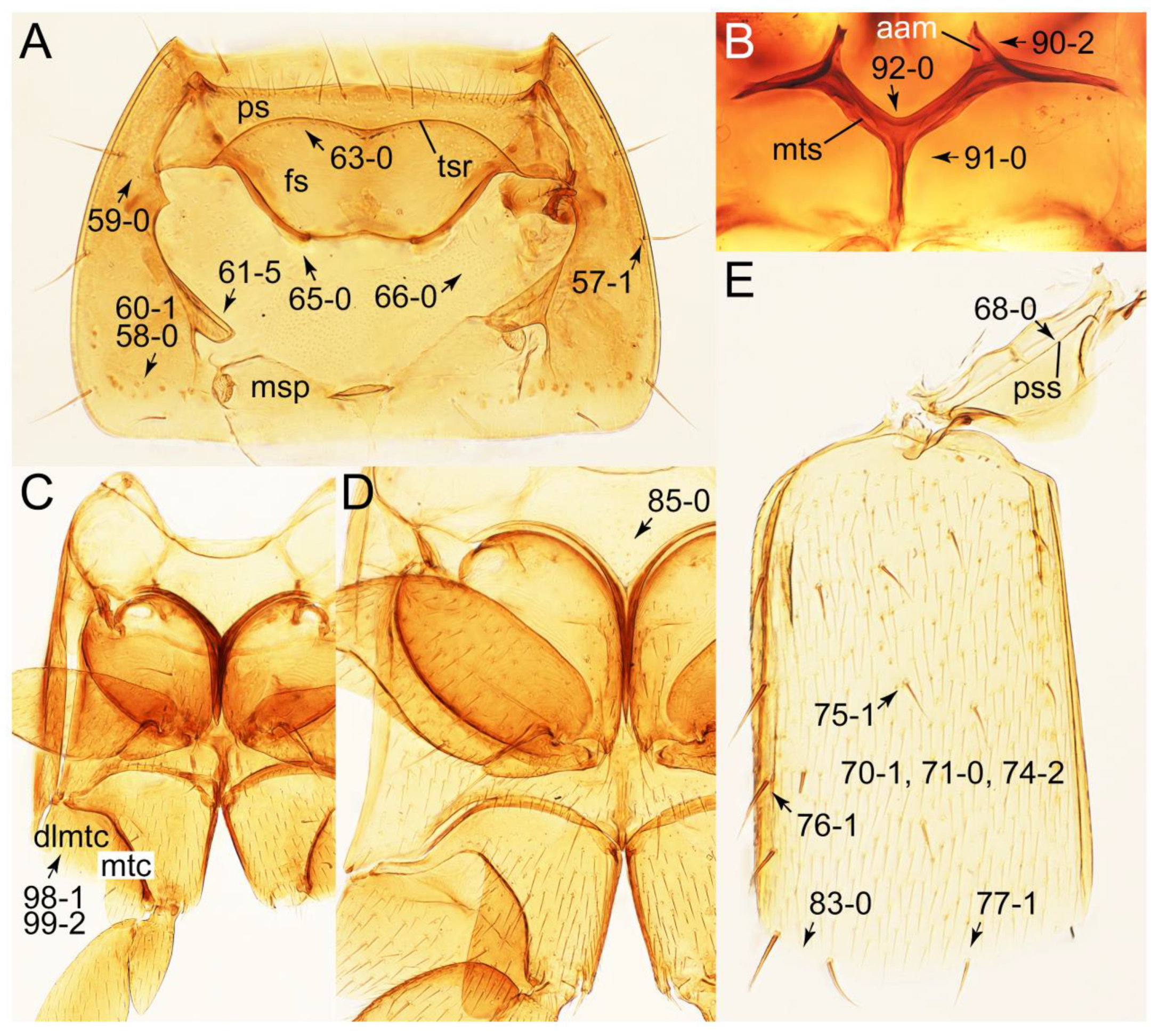 Biology 10 00323 g011 Biology 10 00323 g011