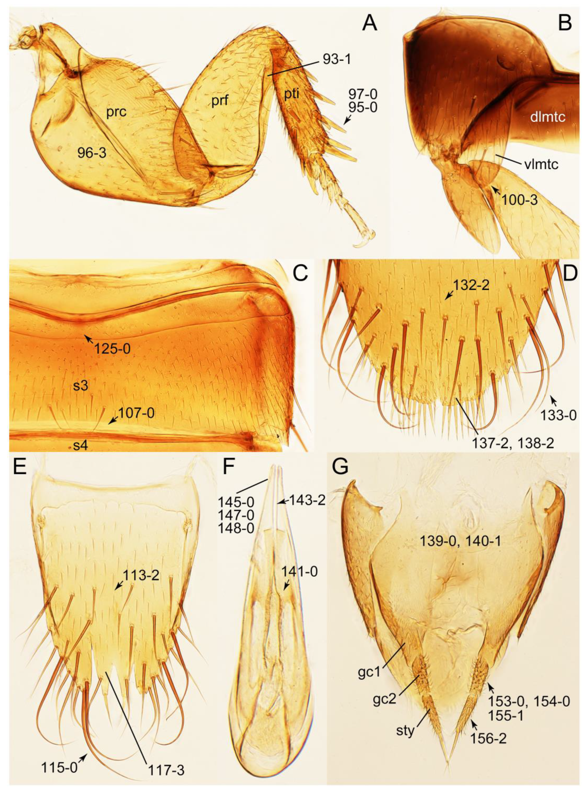 Biology 10 00323 g012 Biology 10 00323 g012