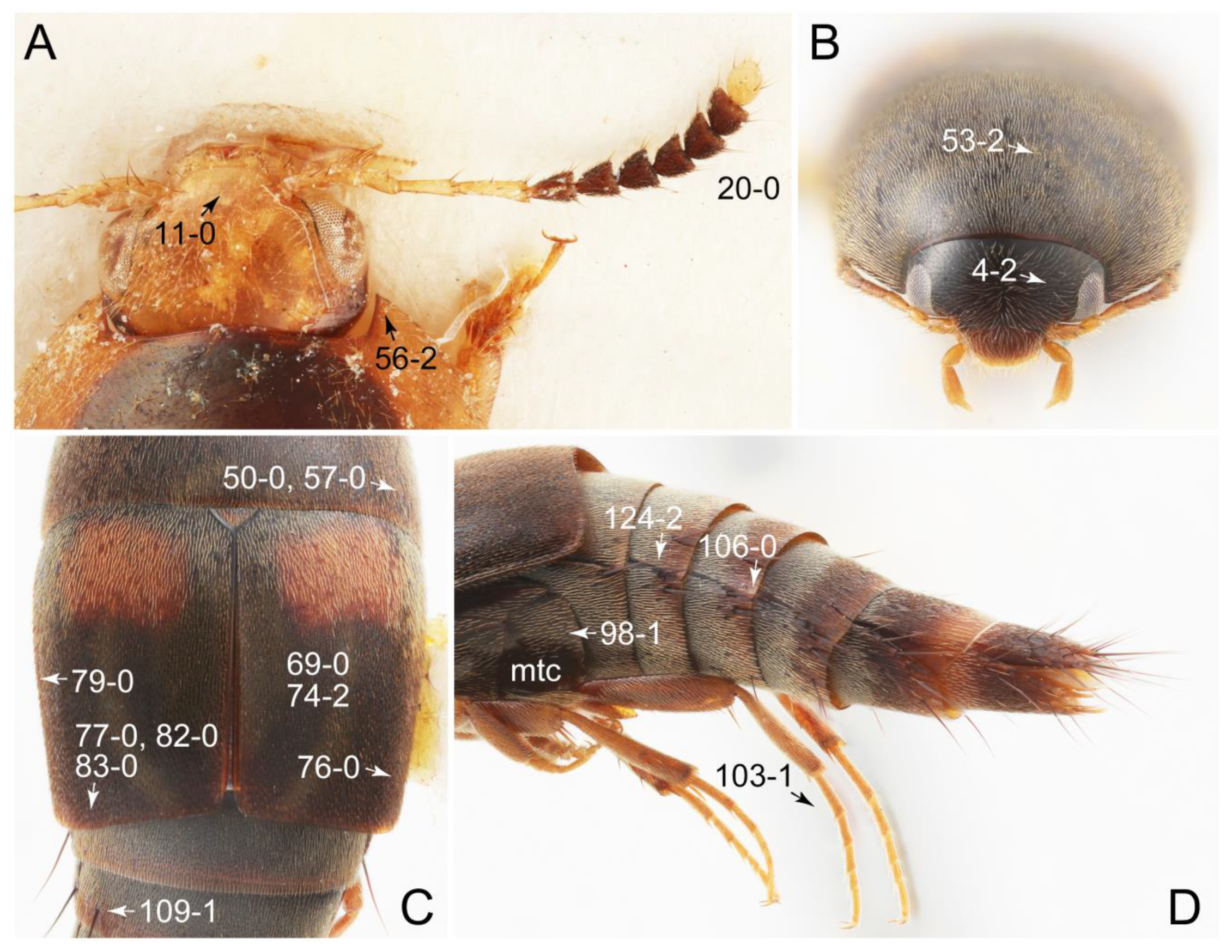 Biology 10 00323 g015 Biology 10 00323 g015