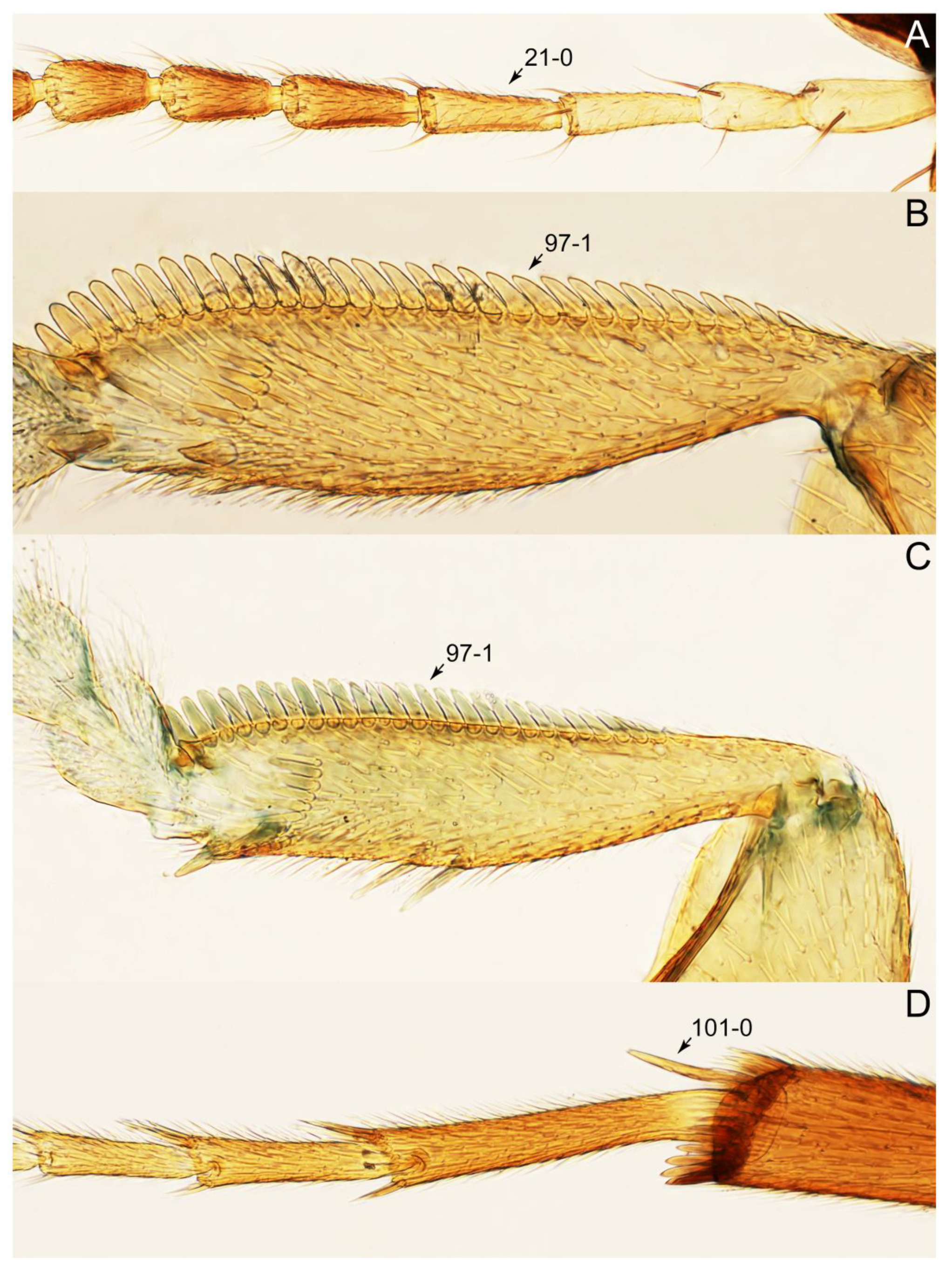 Biology 10 00323 g017 Biology 10 00323 g017
