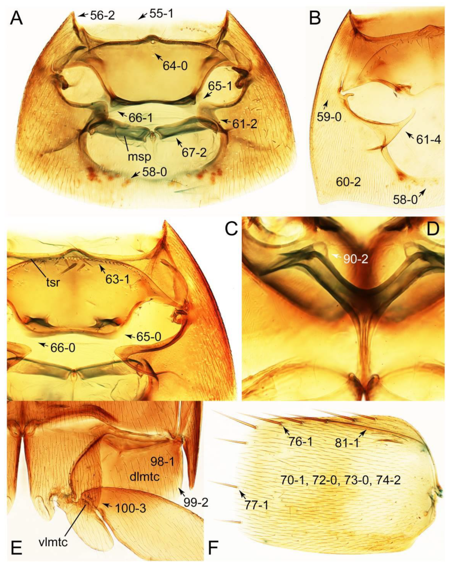 Biology 10 00323 g018 Biology 10 00323 g018