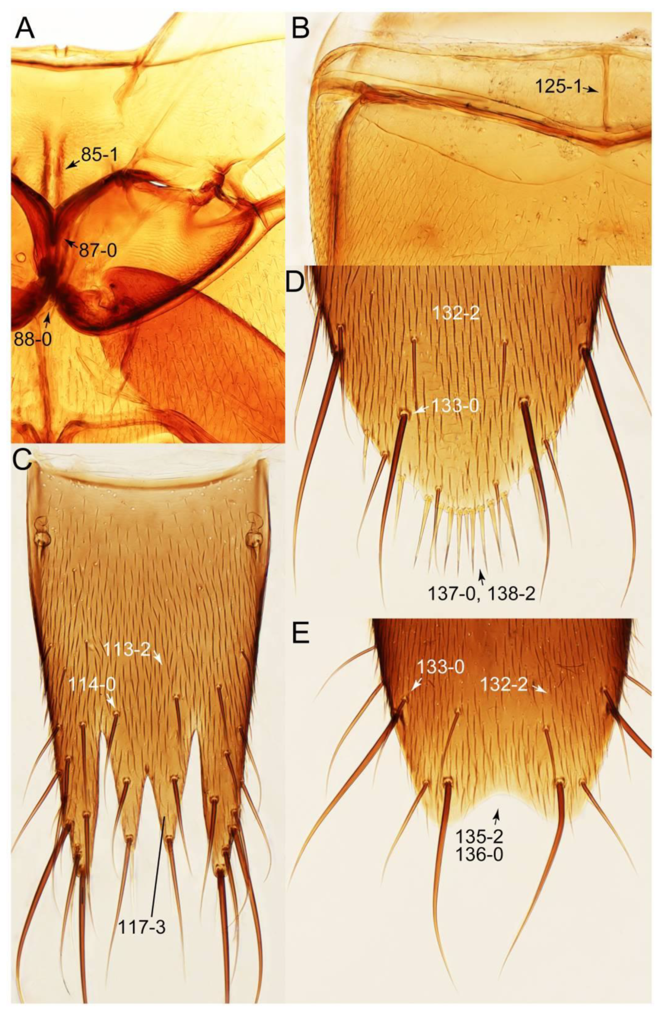 Biology 10 00323 g019 Biology 10 00323 g019