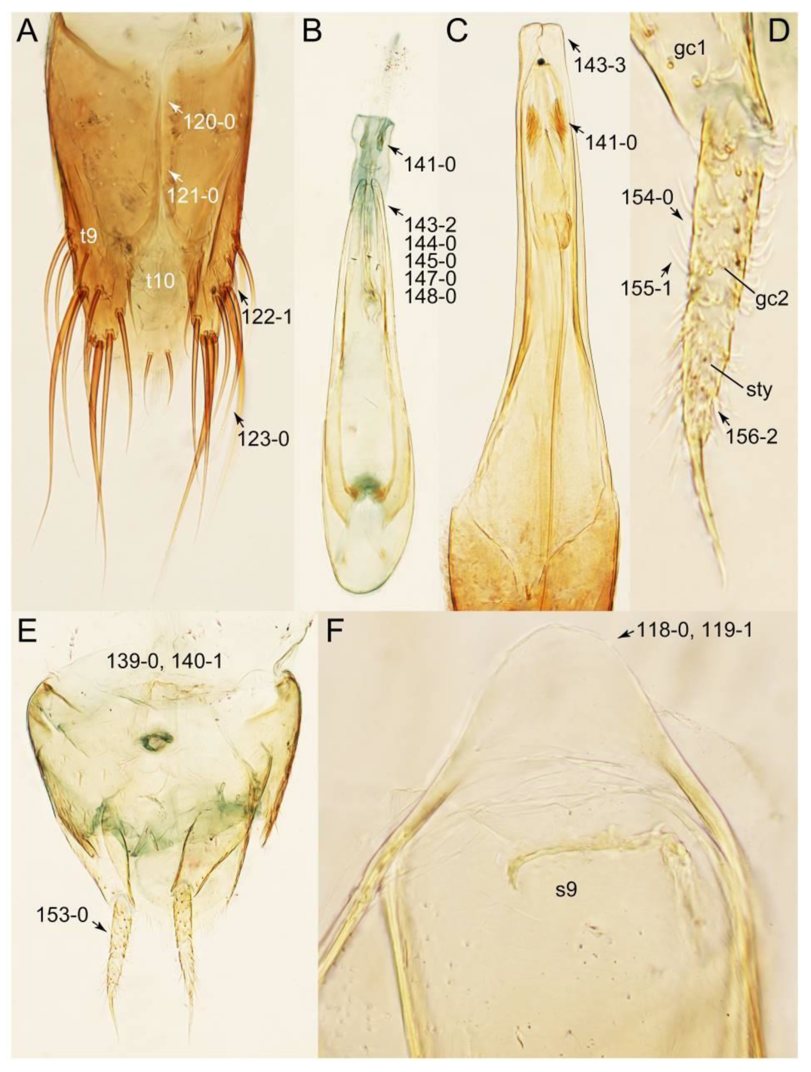Biology 10 00323 g020 Biology 10 00323 g020