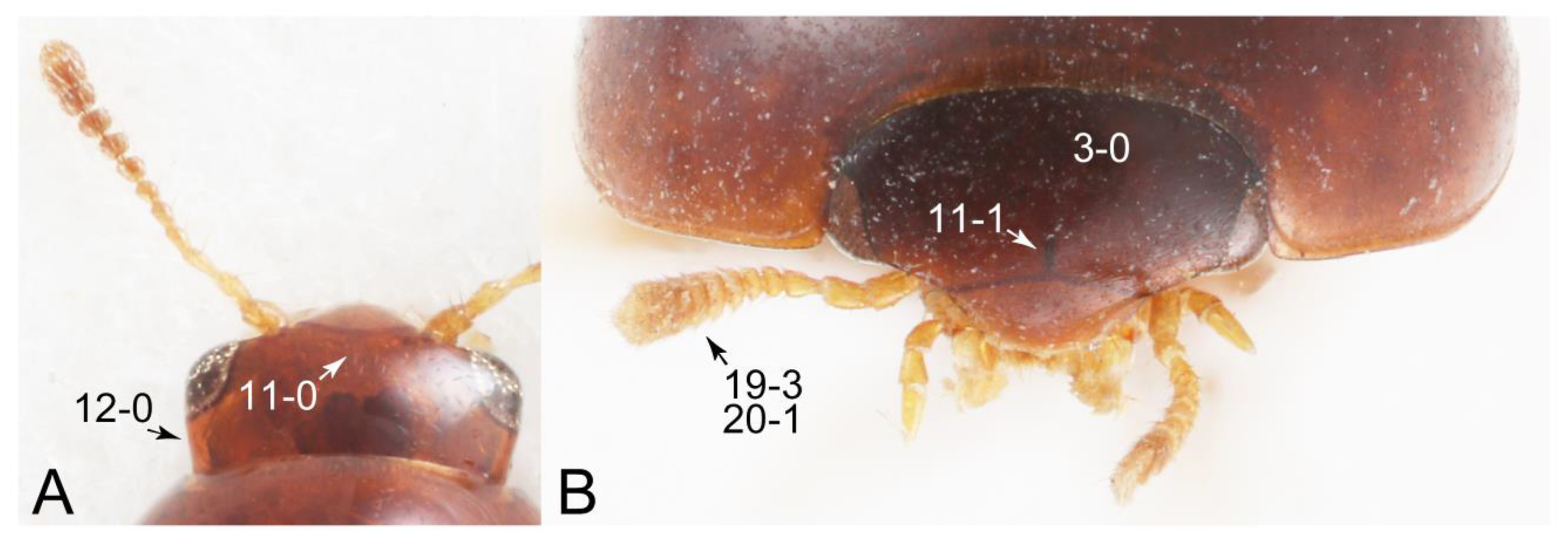 Biology 10 00323 g023 Biology 10 00323 g023