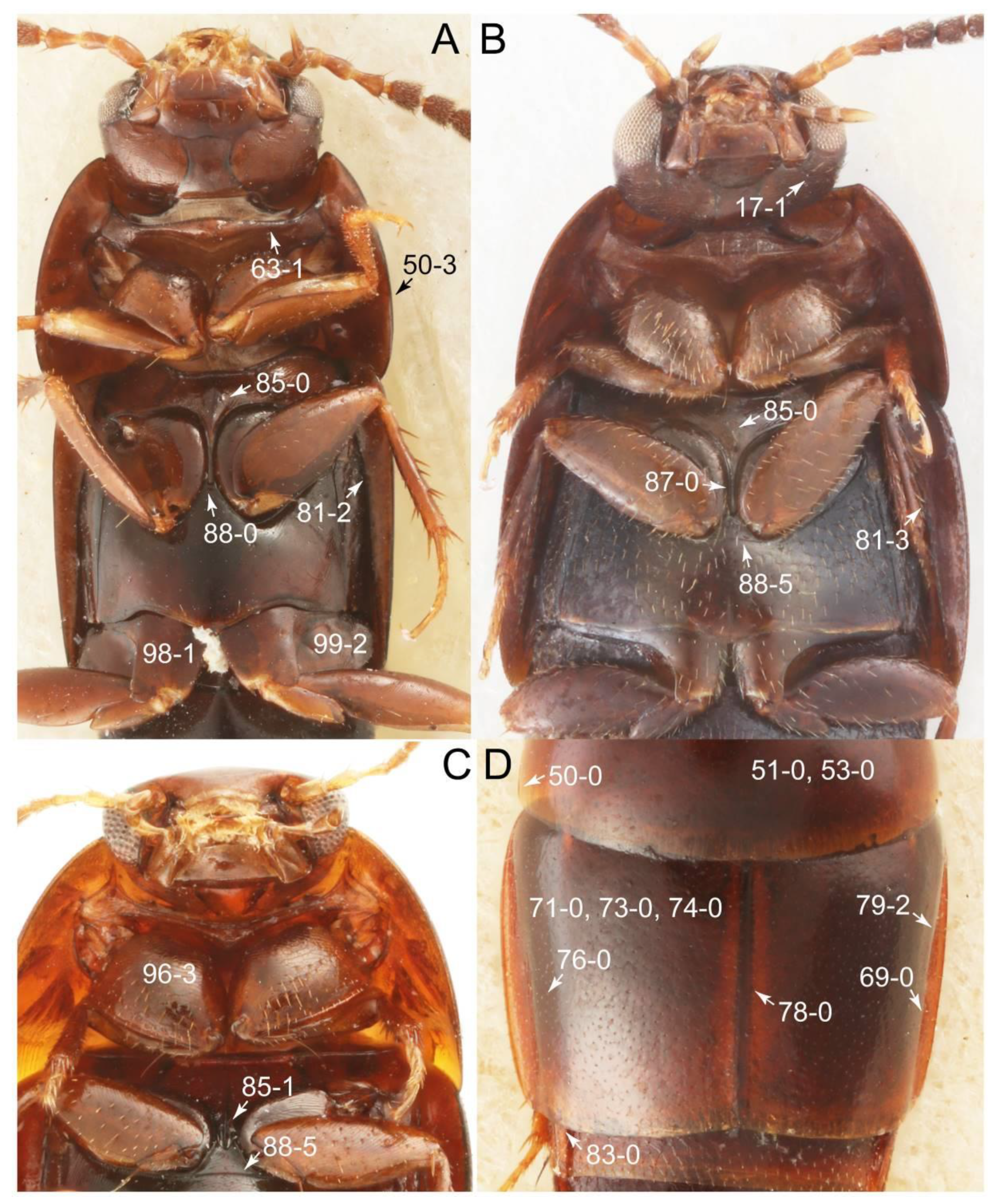 Biology 10 00323 g024 Biology 10 00323 g024