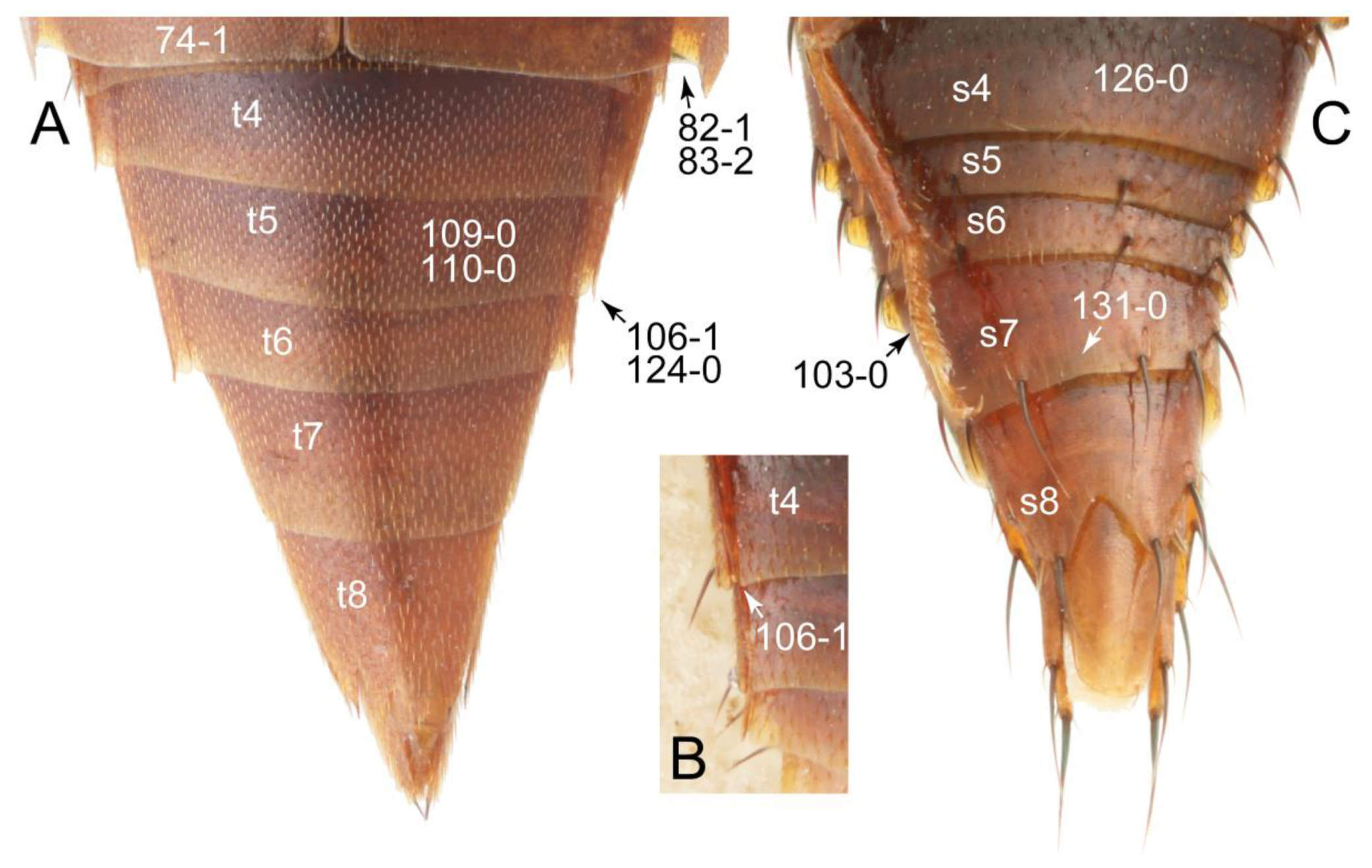 Biology 10 00323 g025 Biology 10 00323 g025