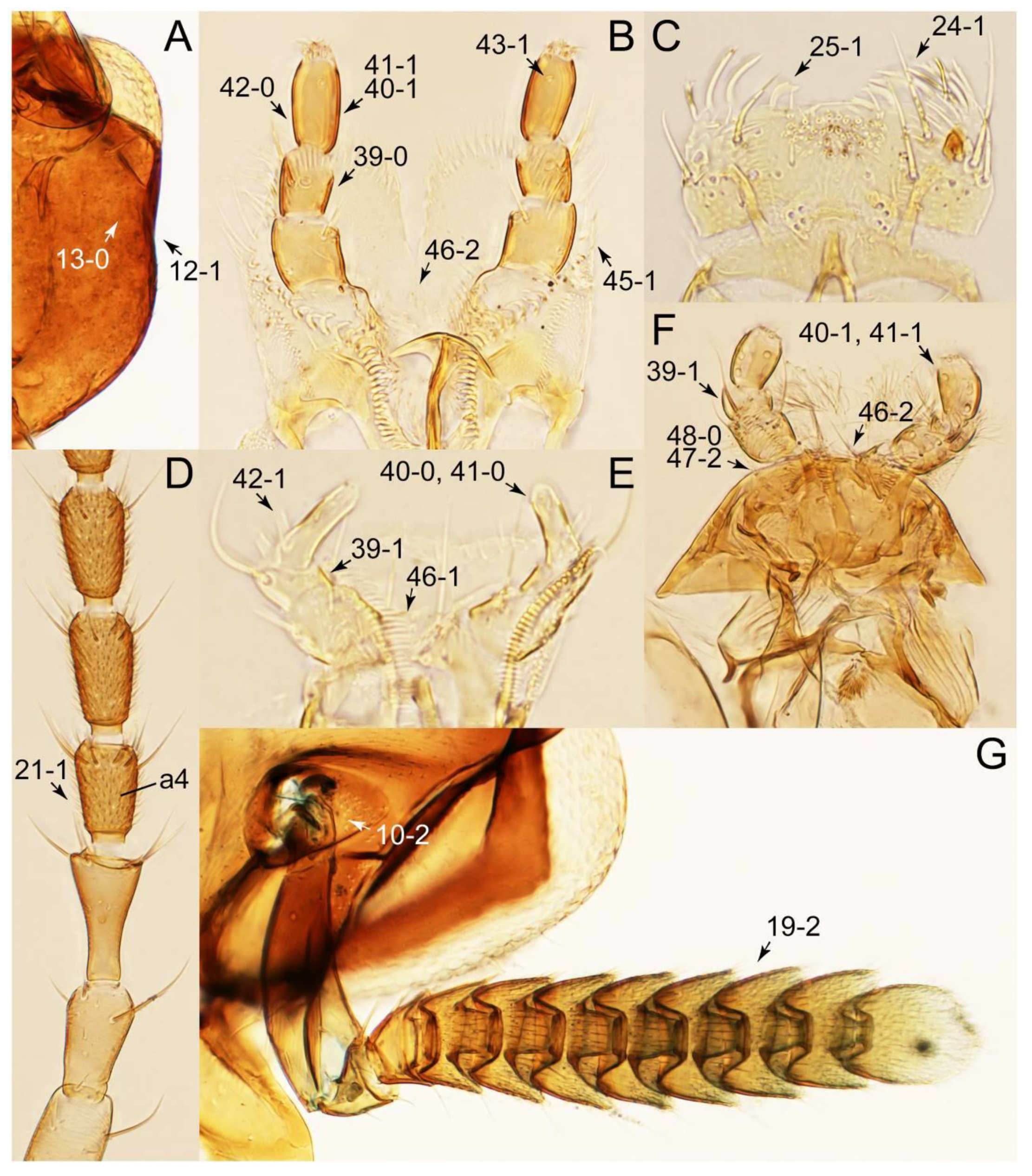 Biology 10 00323 g026 Biology 10 00323 g026