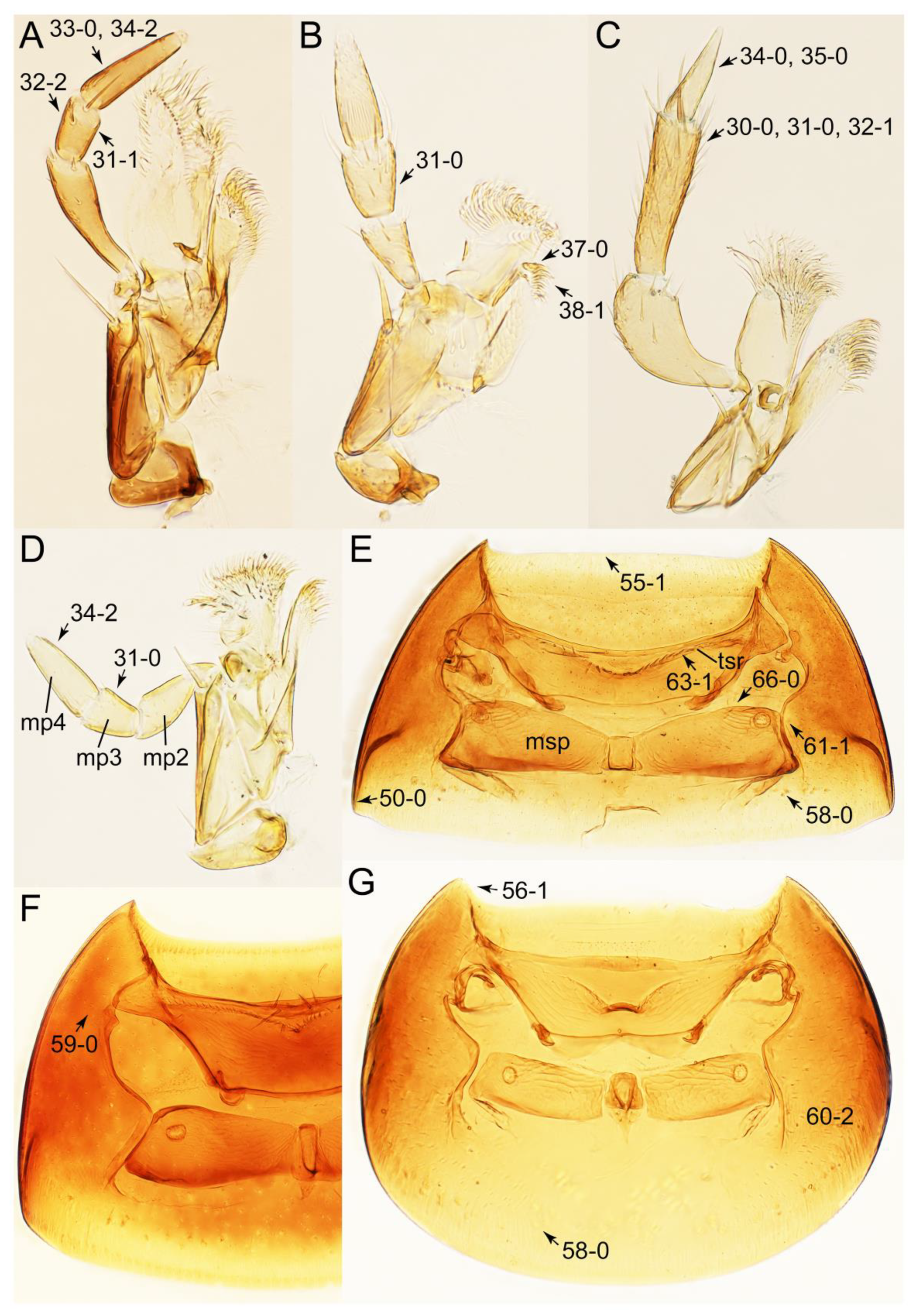 Biology 10 00323 g027 Biology 10 00323 g027
