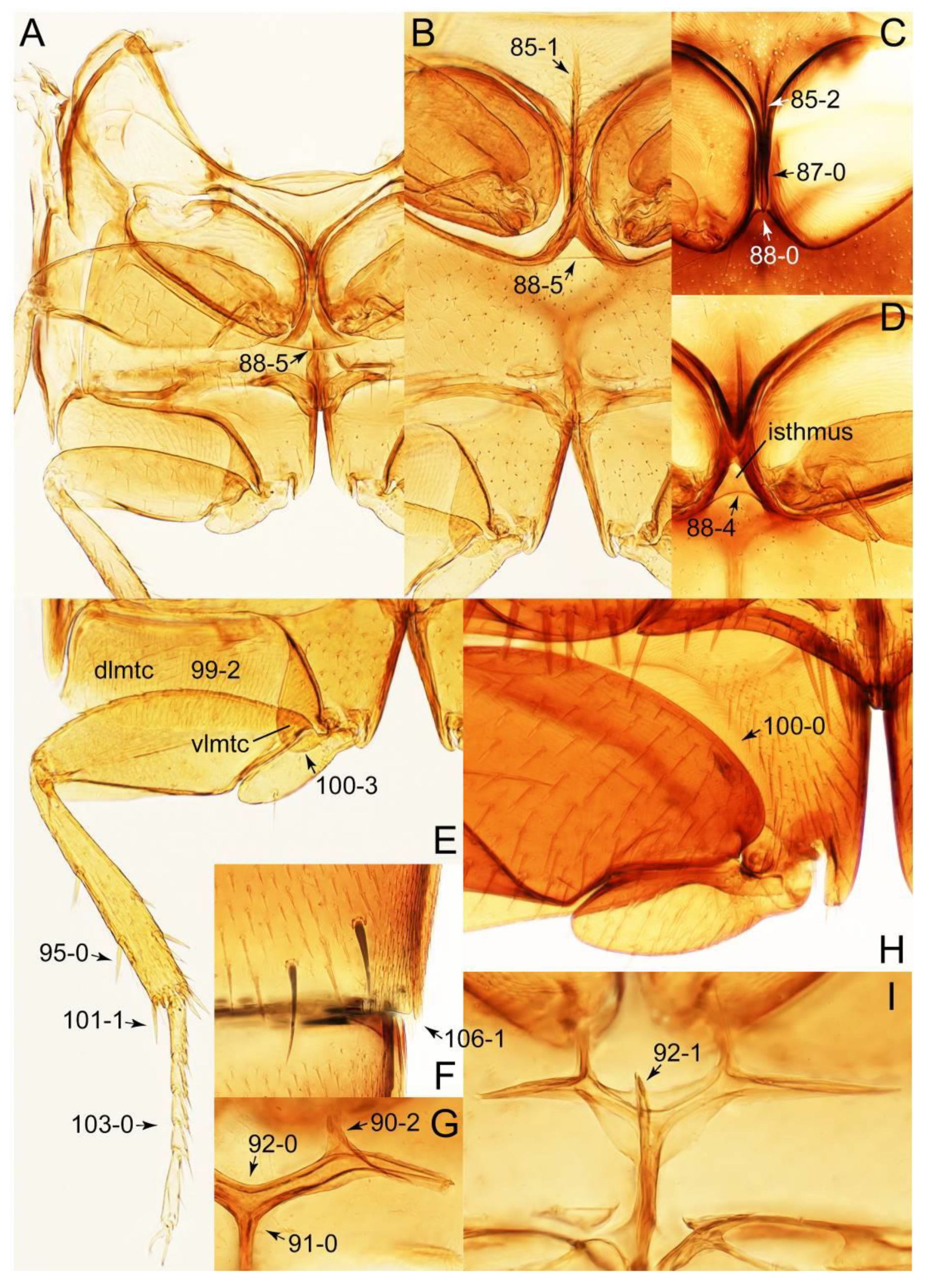 Biology 10 00323 g028 Biology 10 00323 g028