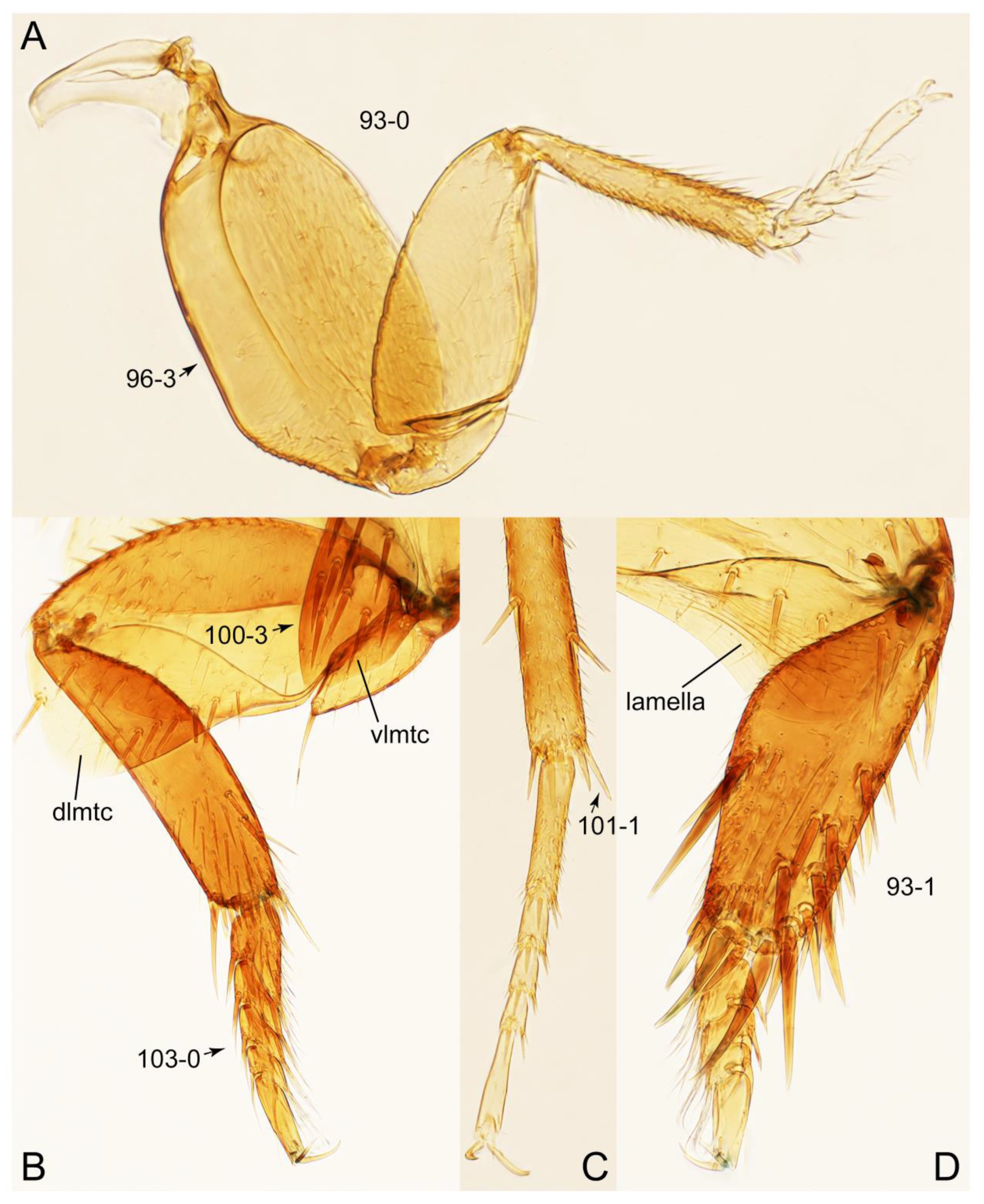 Biology 10 00323 g029 Biology 10 00323 g029