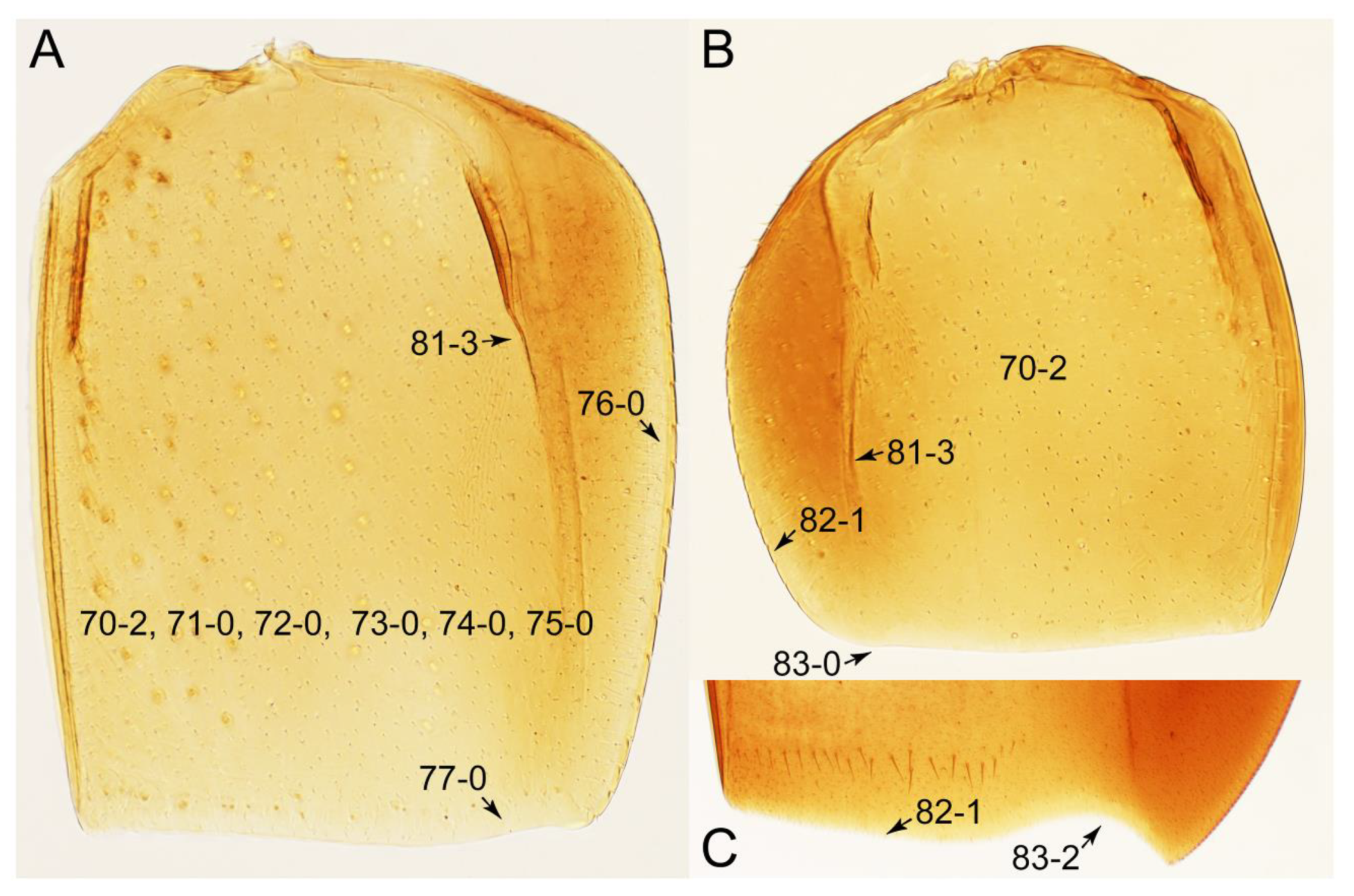 Biology 10 00323 g030 Biology 10 00323 g030