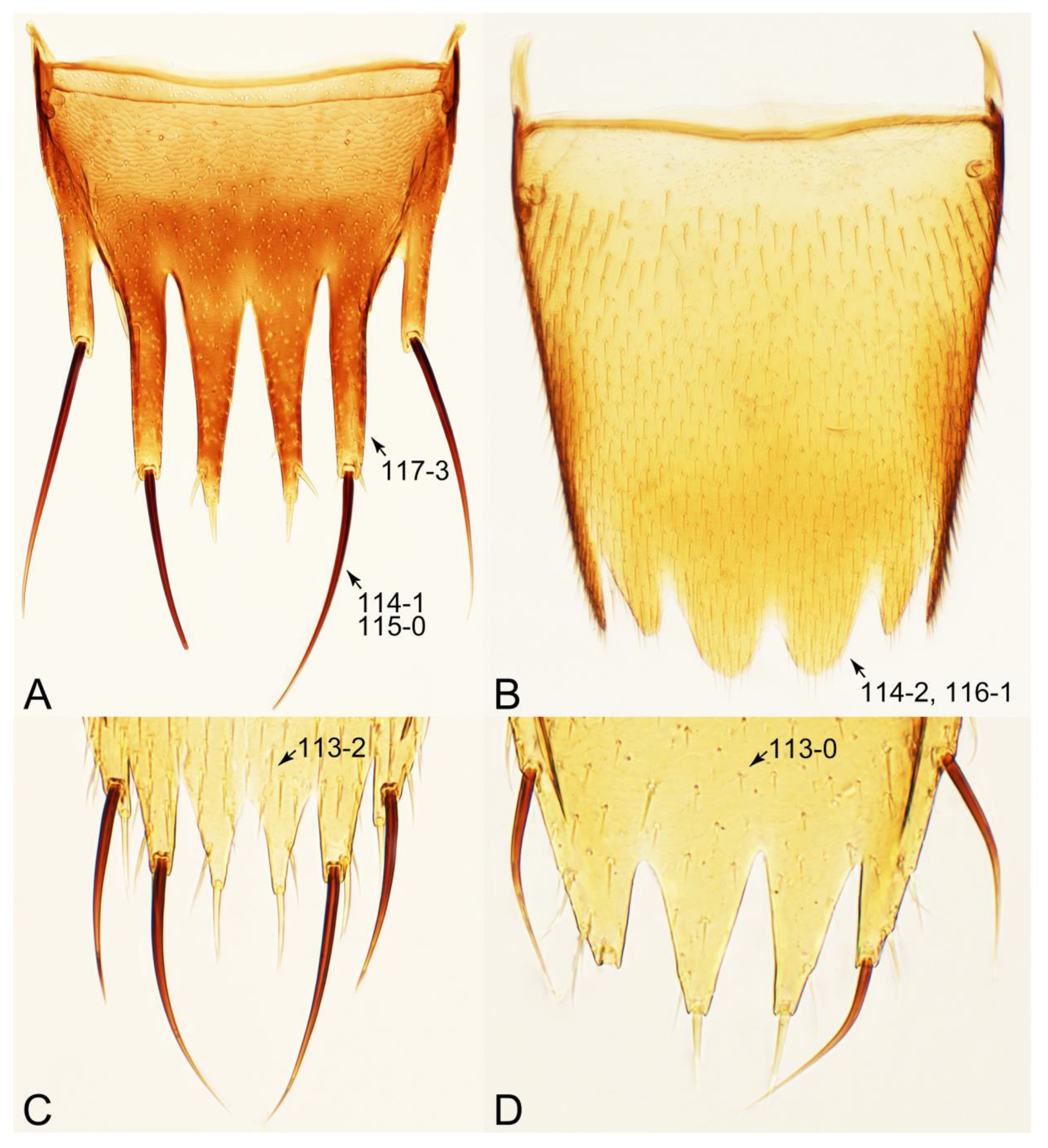 Biology 10 00323 g031 Biology 10 00323 g031