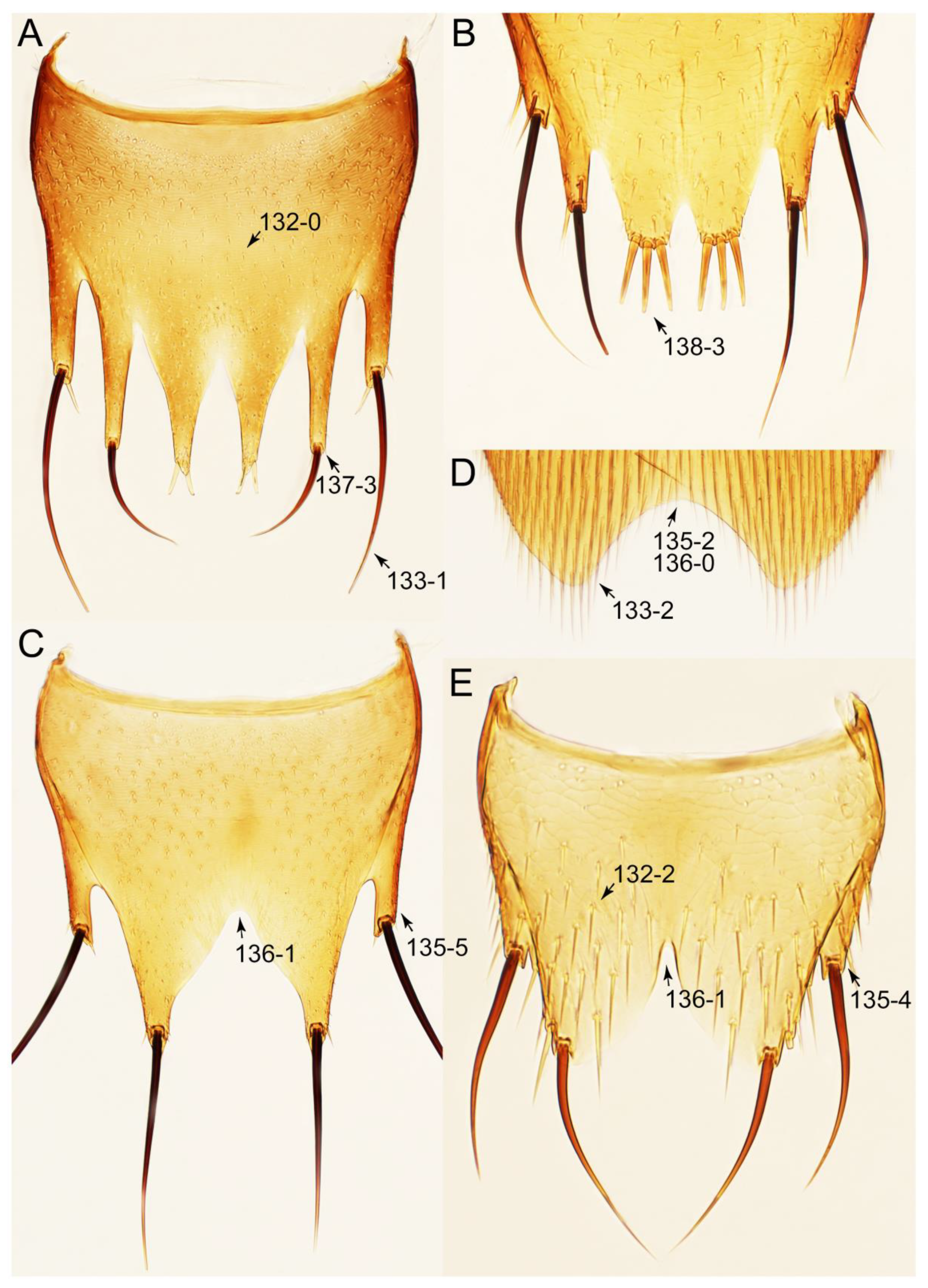 Biology 10 00323 g032 Biology 10 00323 g032