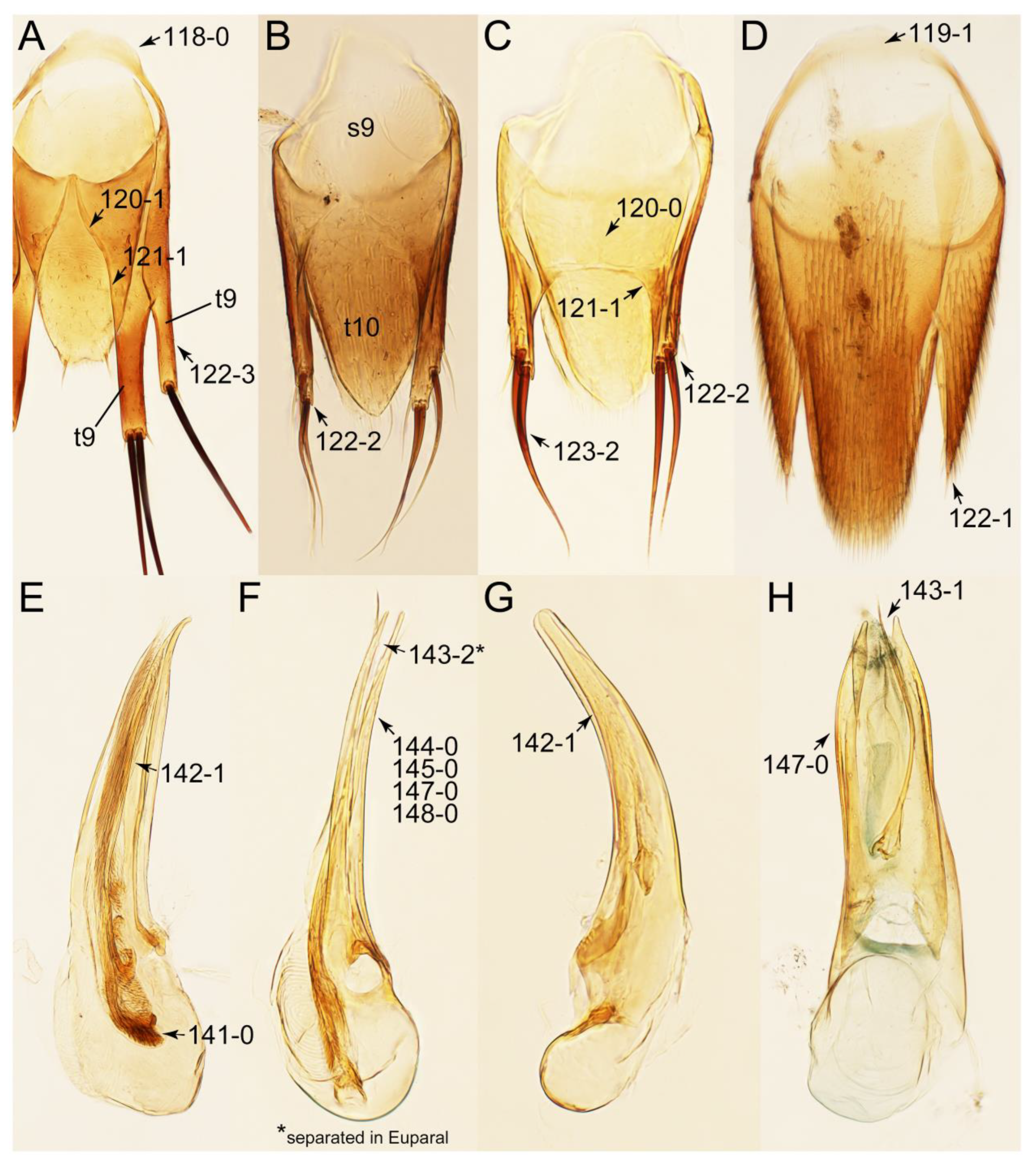 Biology 10 00323 g033 Biology 10 00323 g033