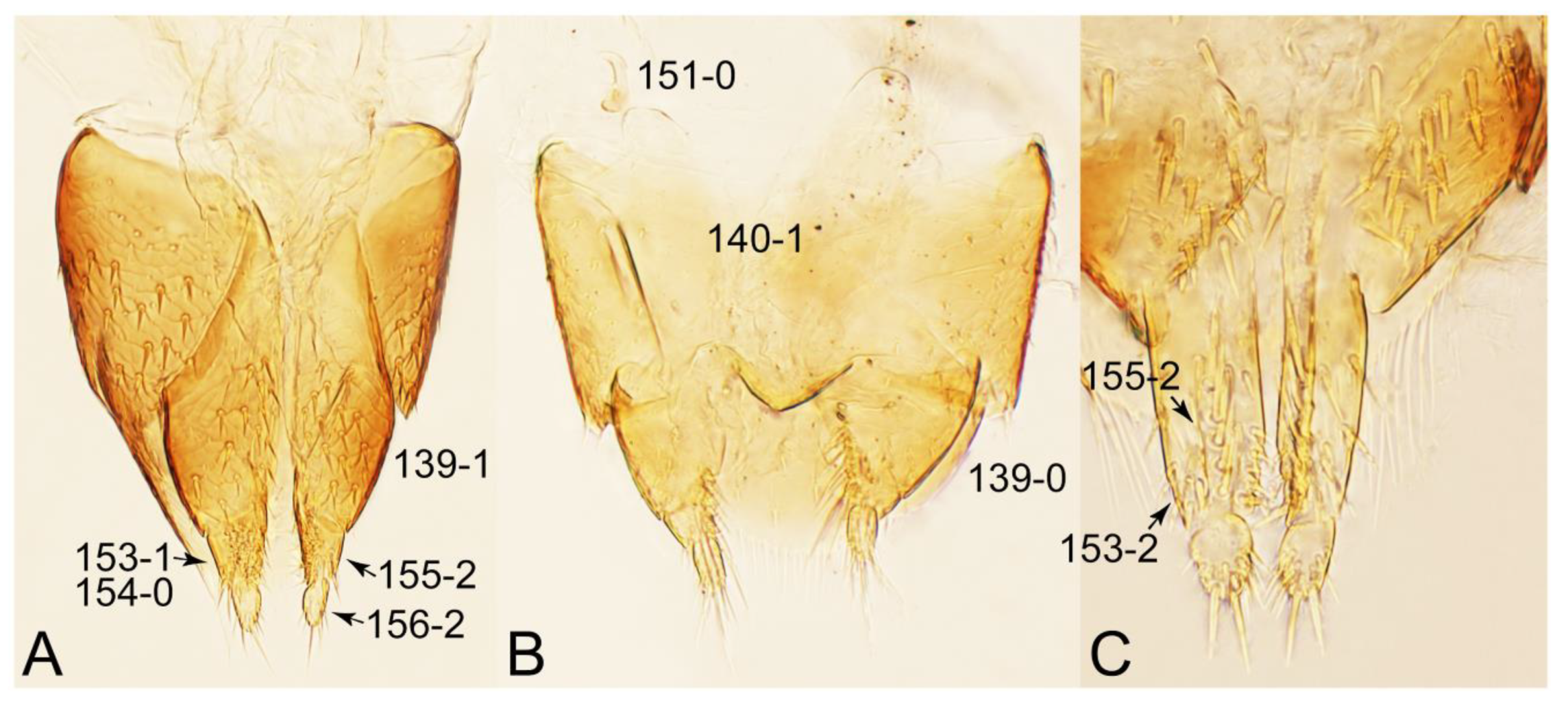 Biology 10 00323 g034 Biology 10 00323 g034