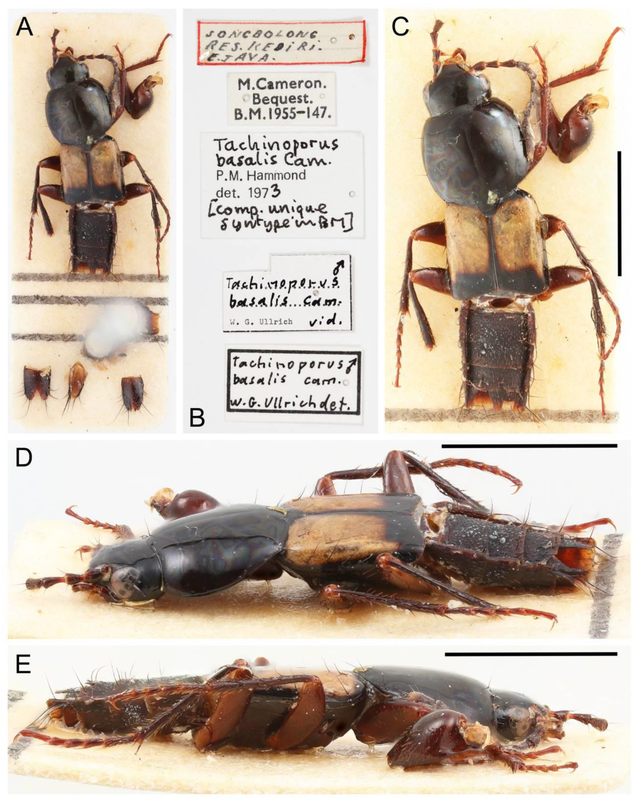 Biology 10 00323 g036 Biology 10 00323 g036